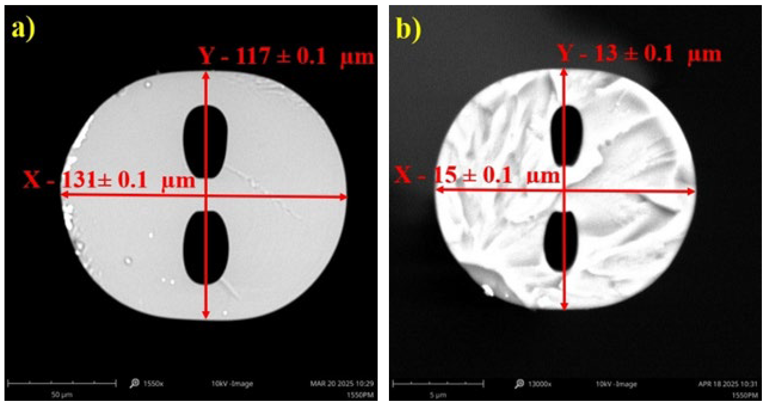 Sensors 25 04916 g001