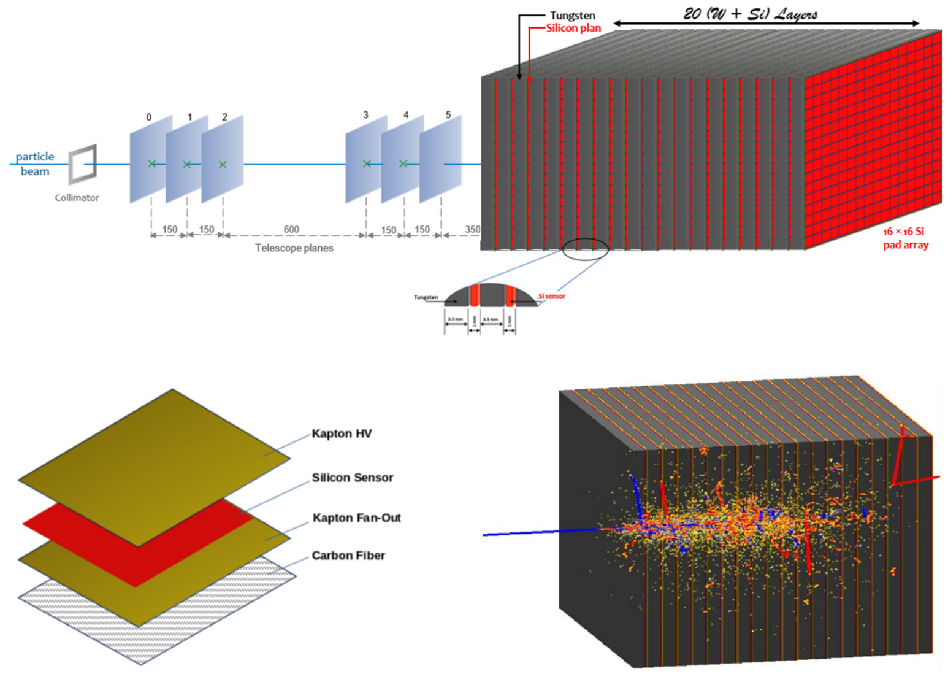 Sensors 25 04918 g002