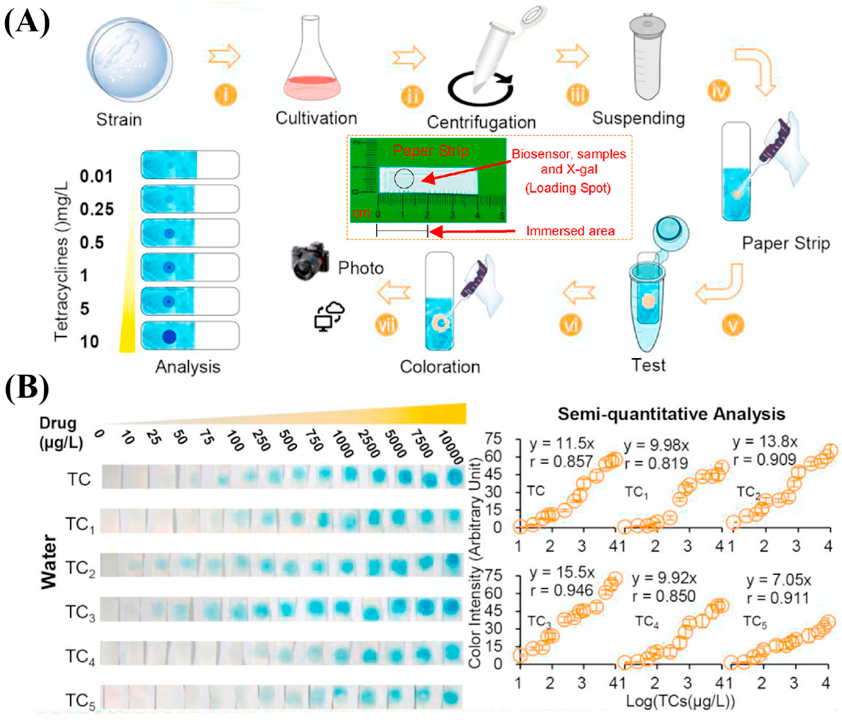 Sensors 25 04945 g005
