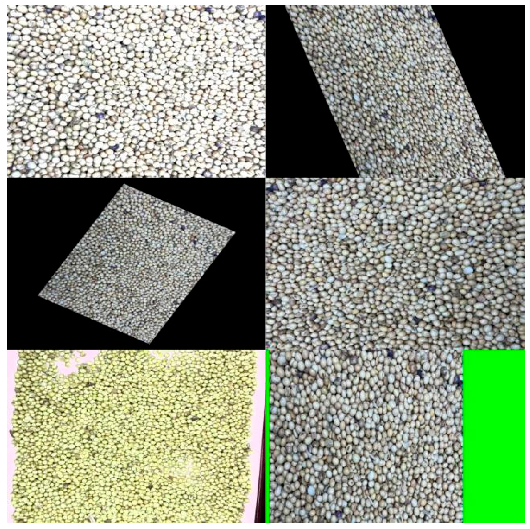 Sensors 25 04958 g002 Sensors 25 04958 g002