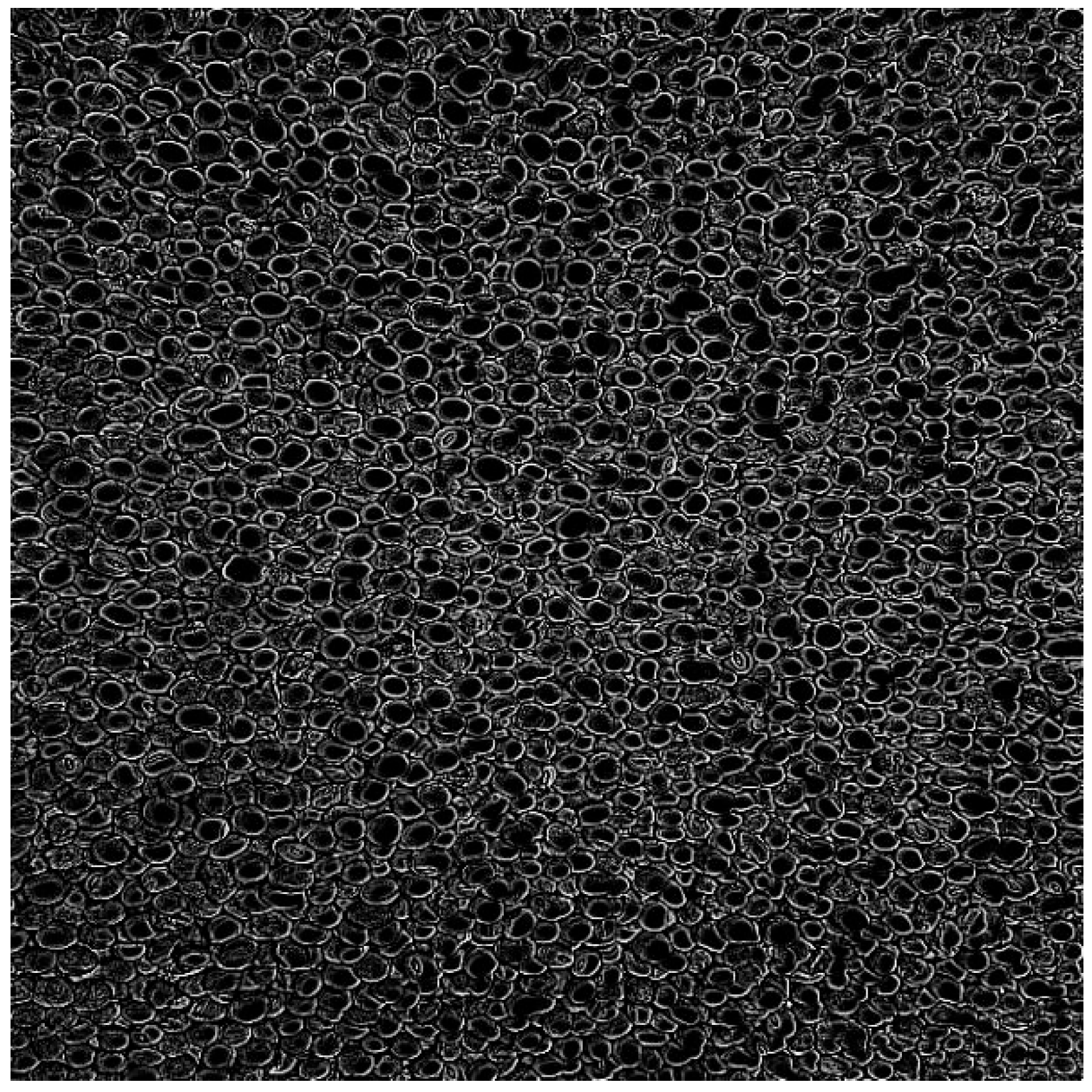 Sensors 25 04958 g004 Sensors 25 04958 g004