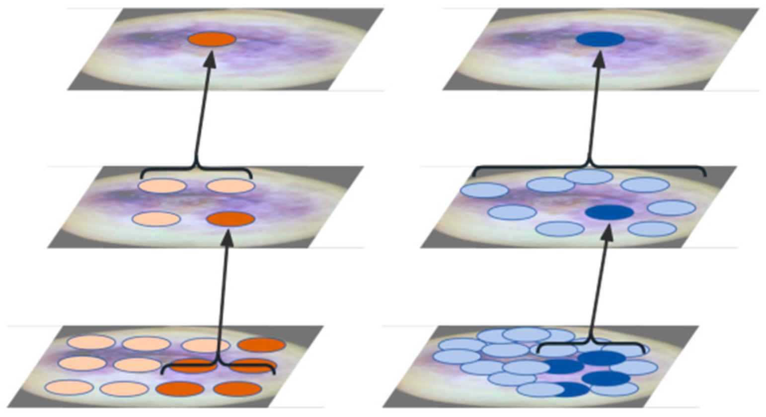 Sensors 25 04958 g006 Sensors 25 04958 g006