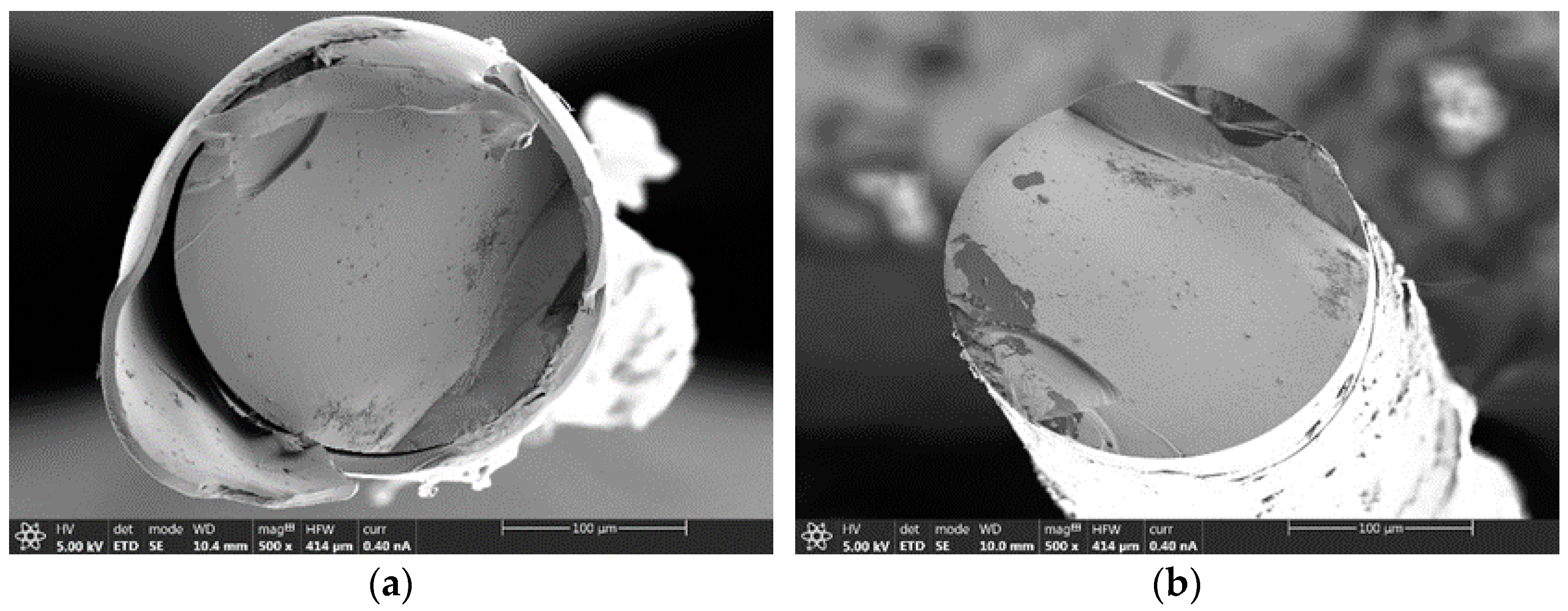 Sensors 25 04973 g0a1