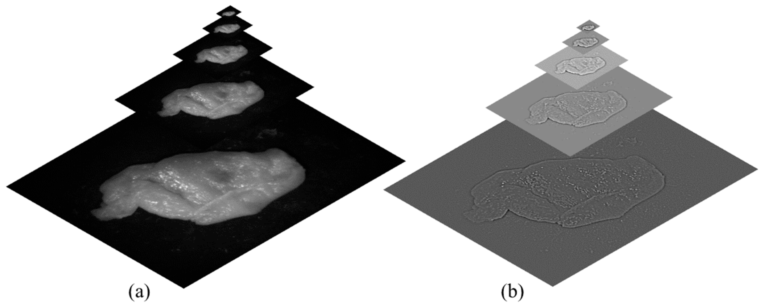 Sensors 25 04977 g001
