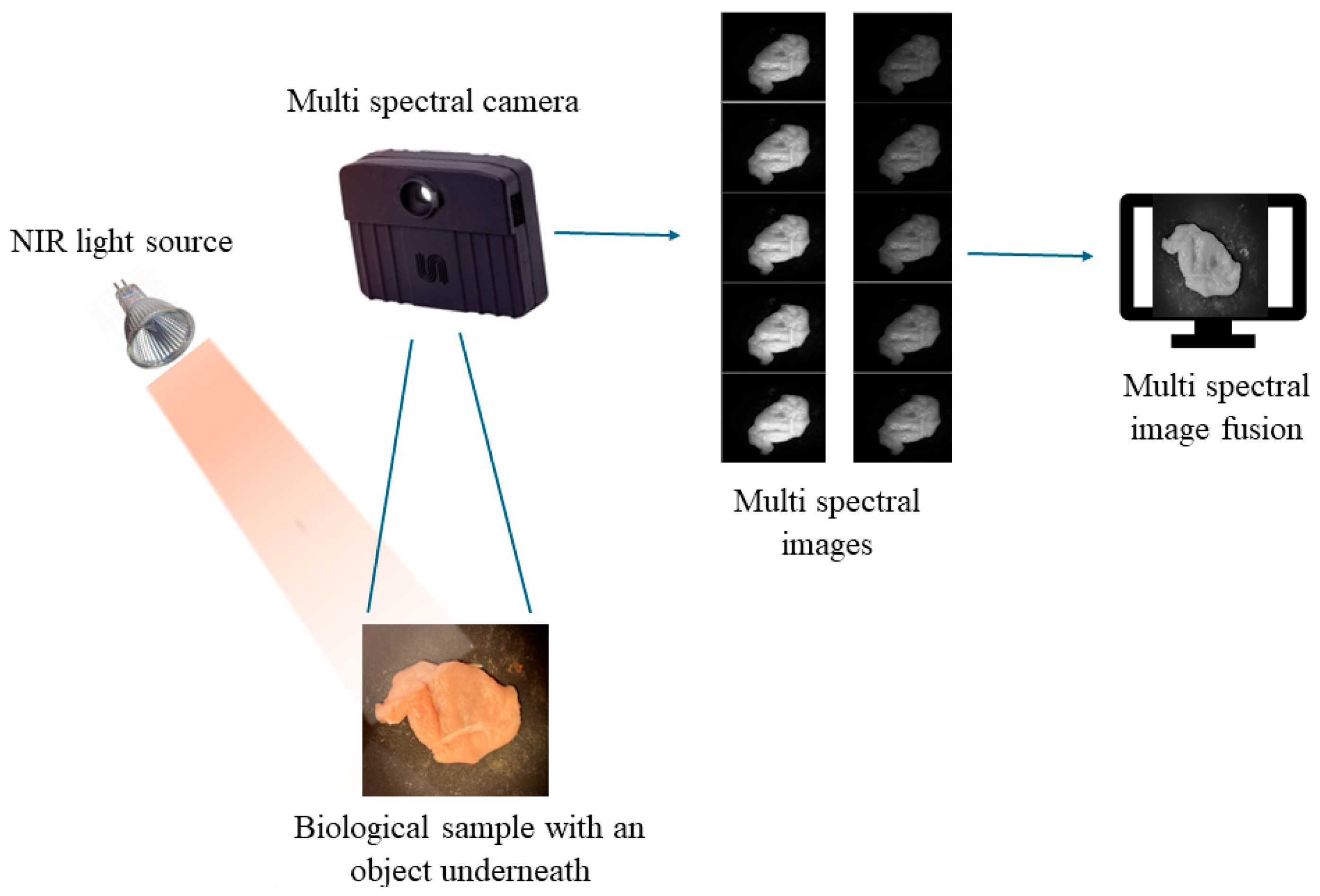 Sensors 25 04977 g002