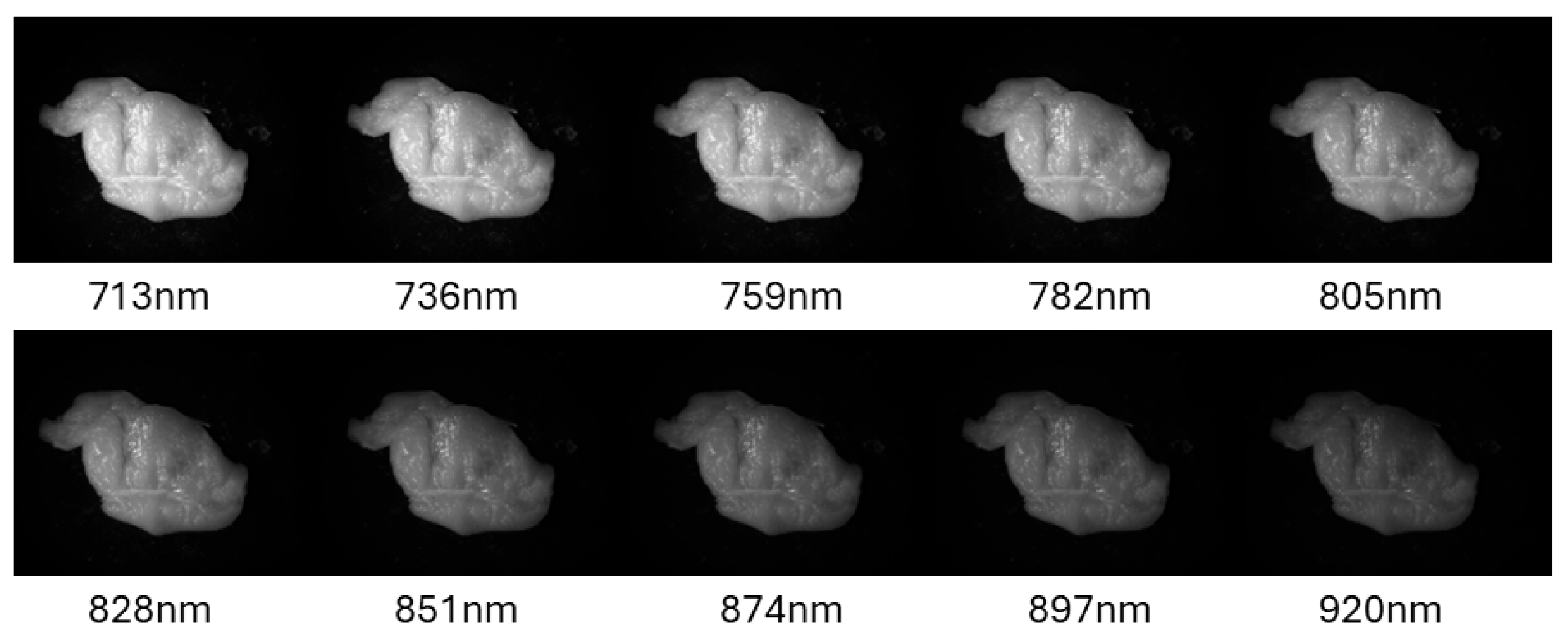 Sensors 25 04977 g003