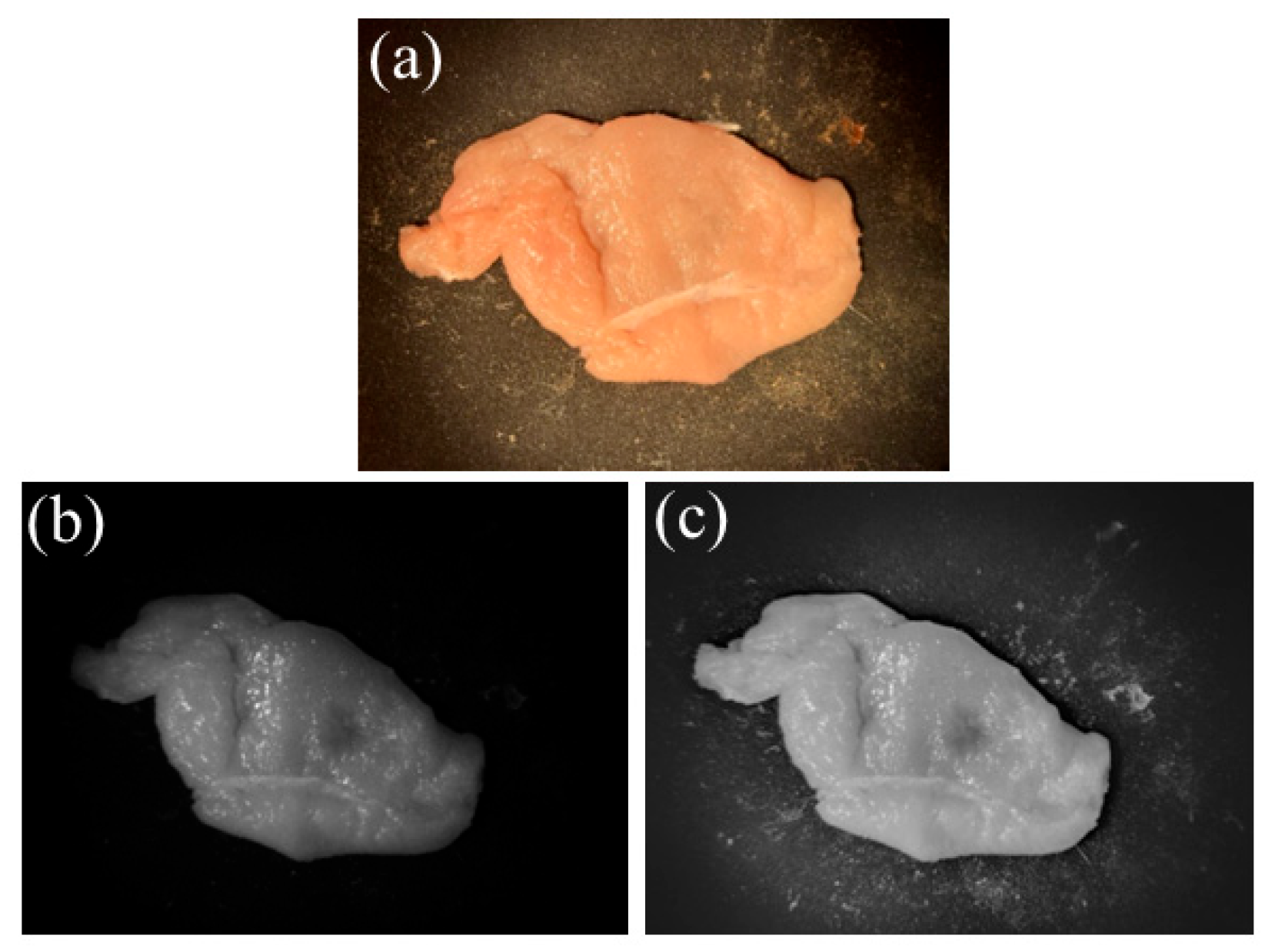 Sensors 25 04977 g004