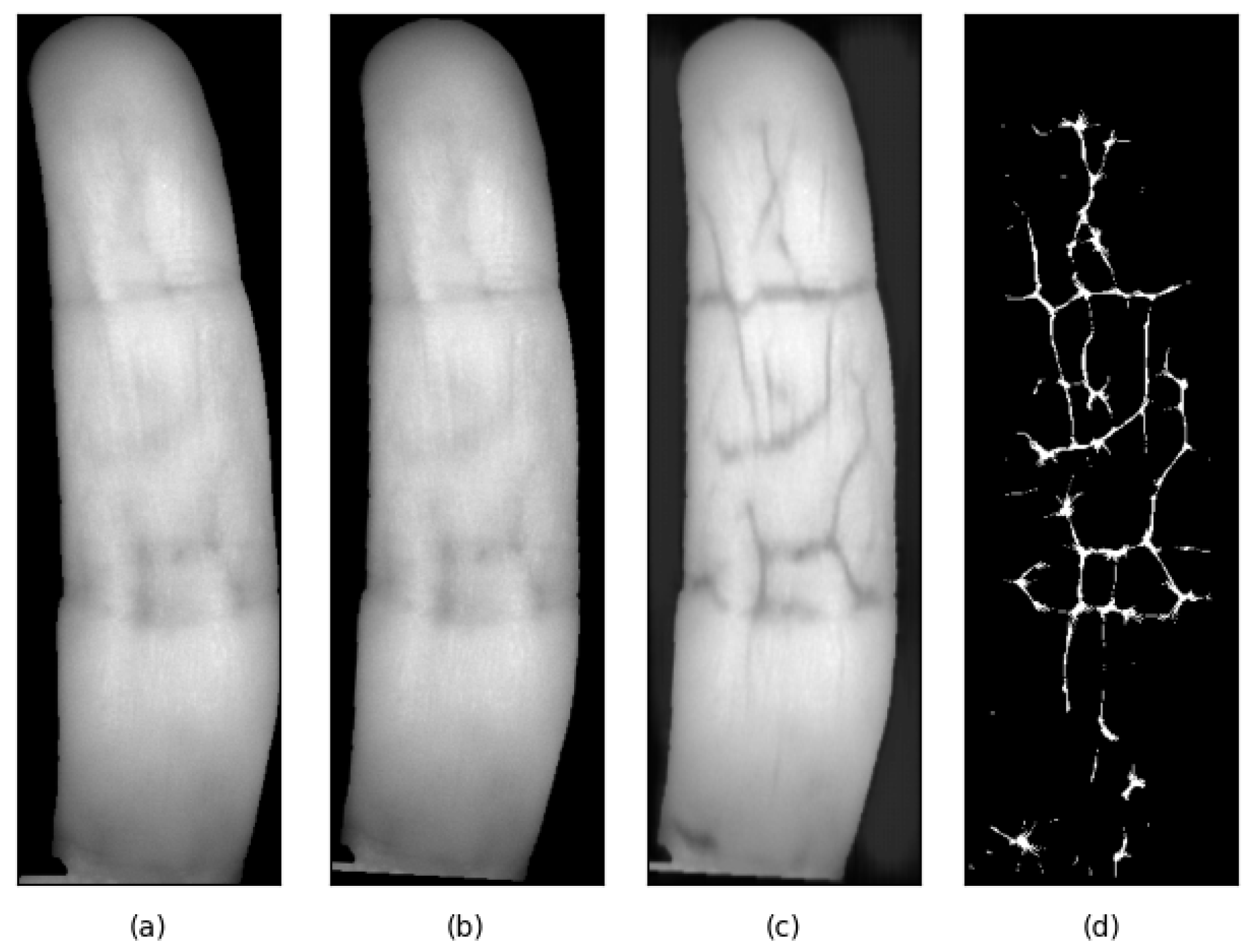 Sensors 25 04990 g007