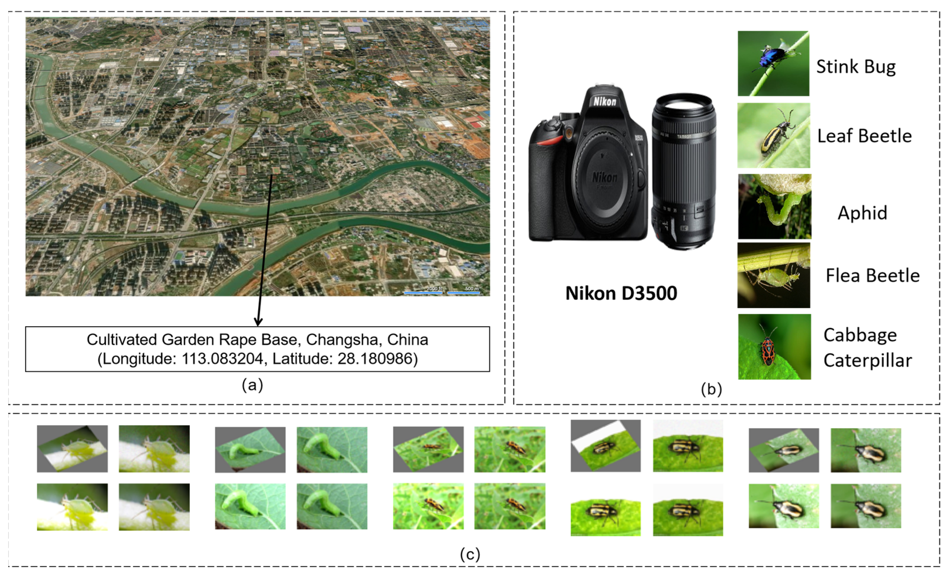 Sensors 25 05004 g001