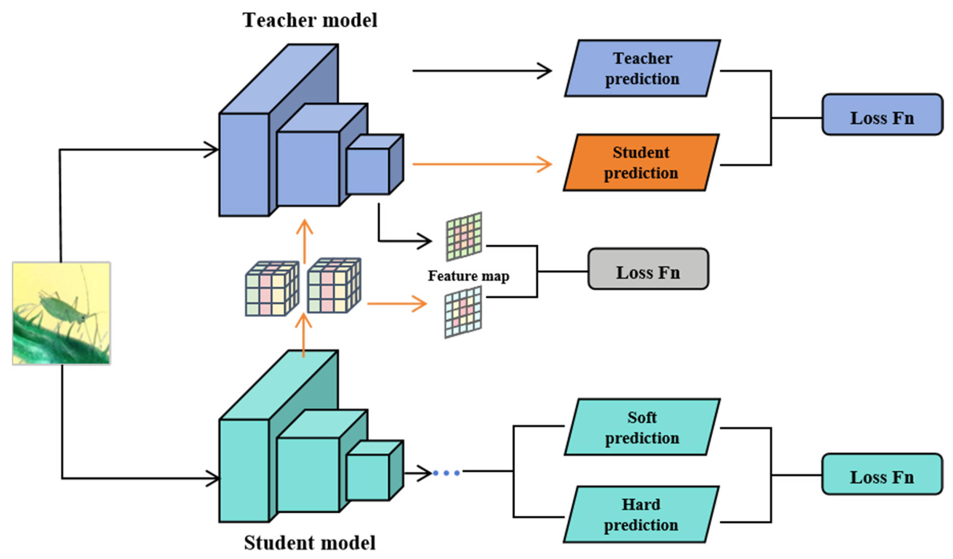 Sensors 25 05004 g005