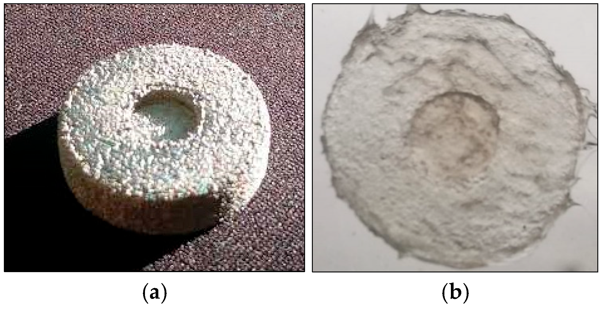 Sensors 25 05008 g004