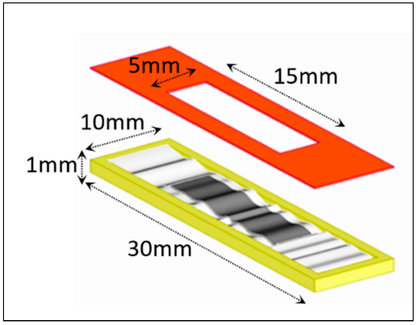 Sensors 25 05008 g005