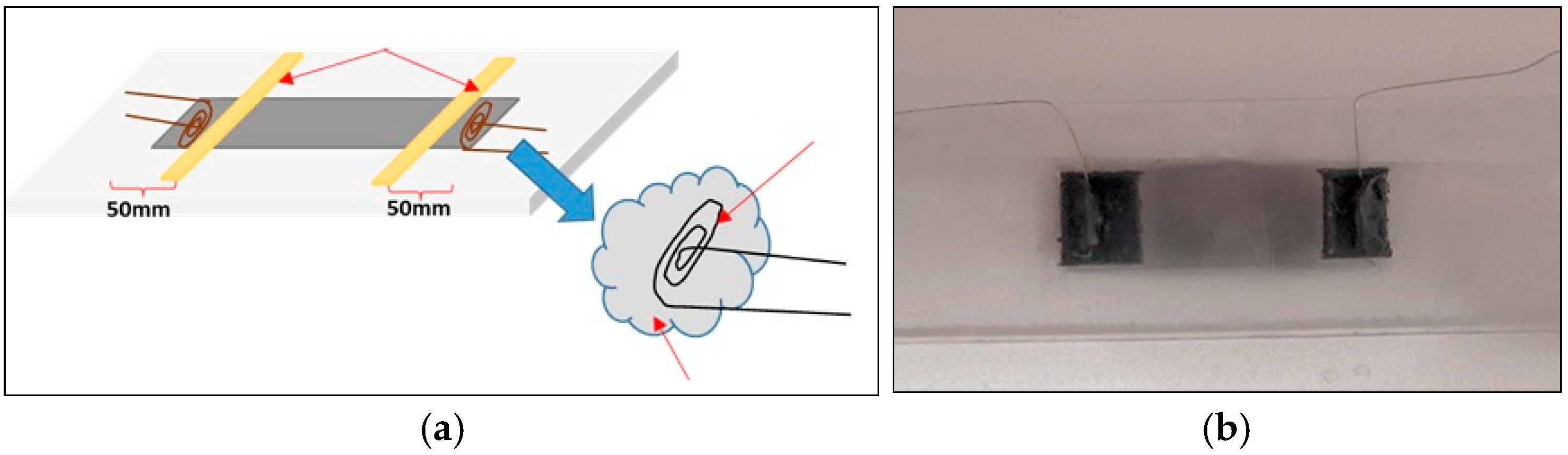 Sensors 25 05008 g006
