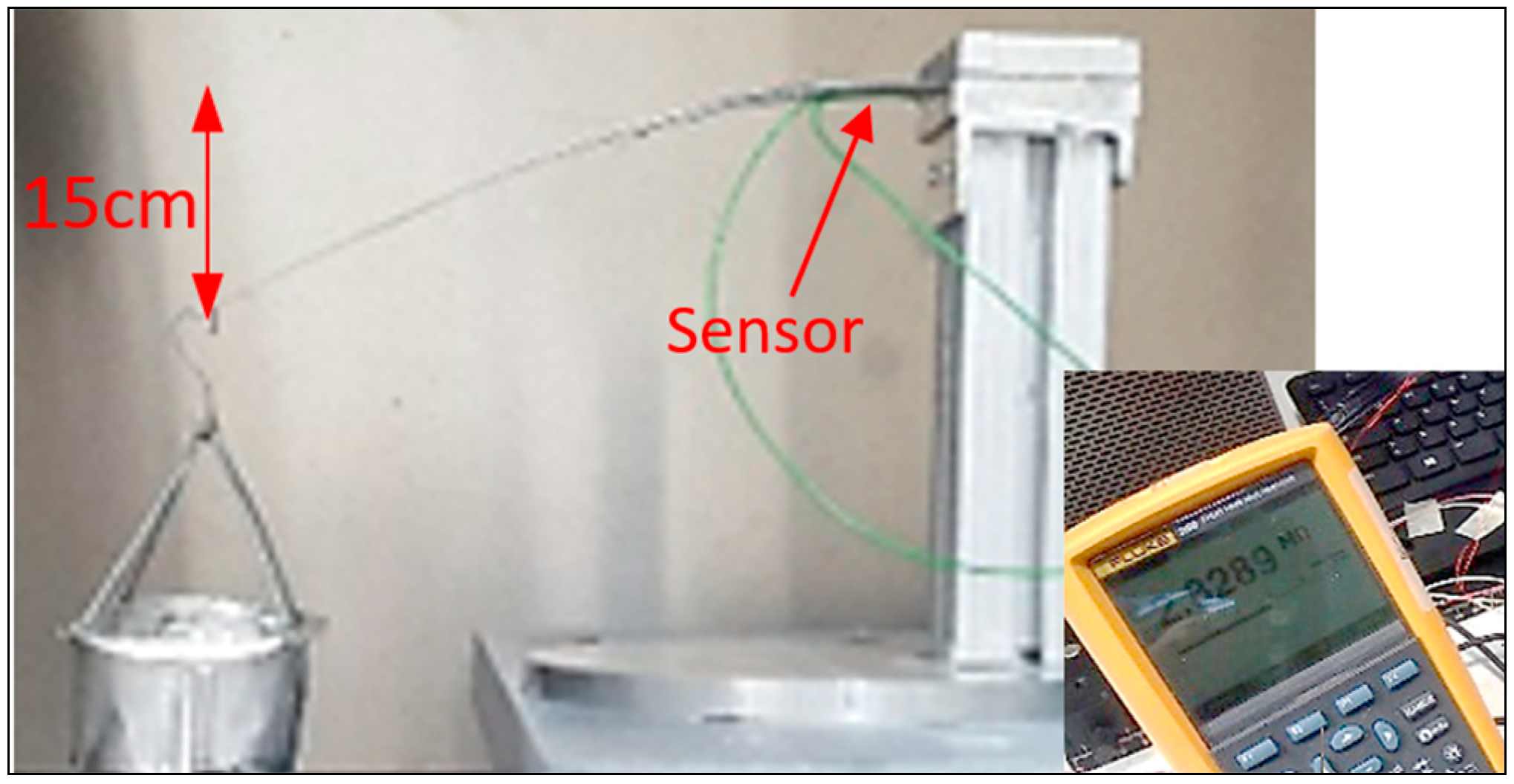 Sensors 25 05008 g010