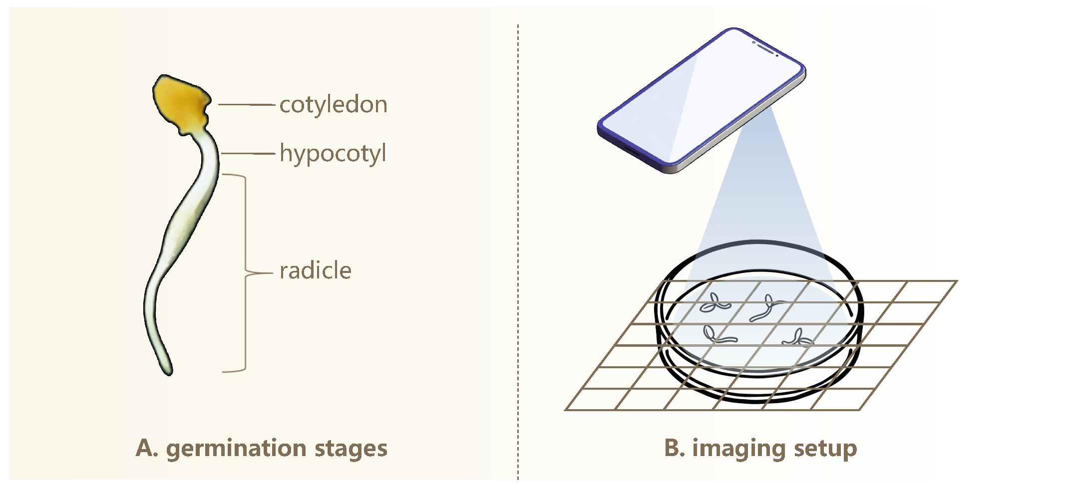 Sensors 25 05024 g001