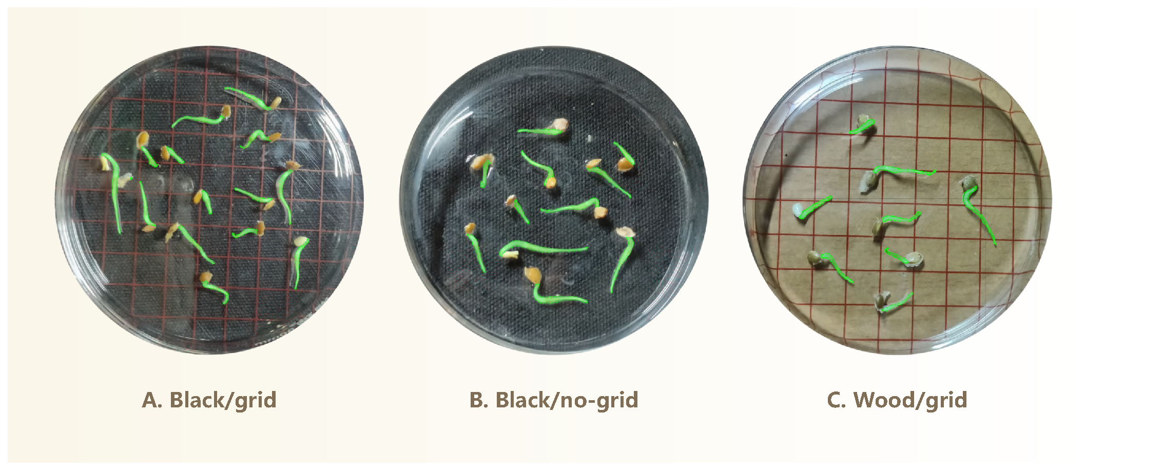 Sensors 25 05024 g002