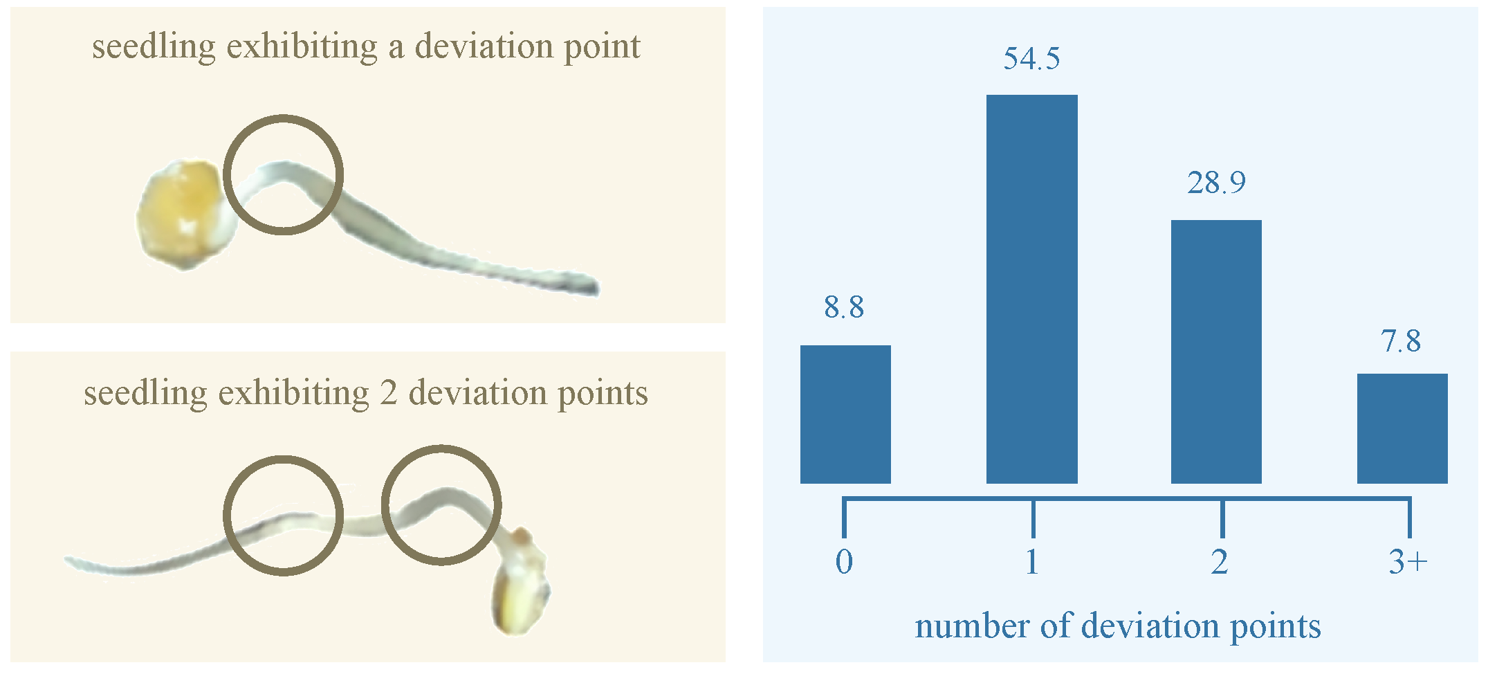 Sensors 25 05024 g004
