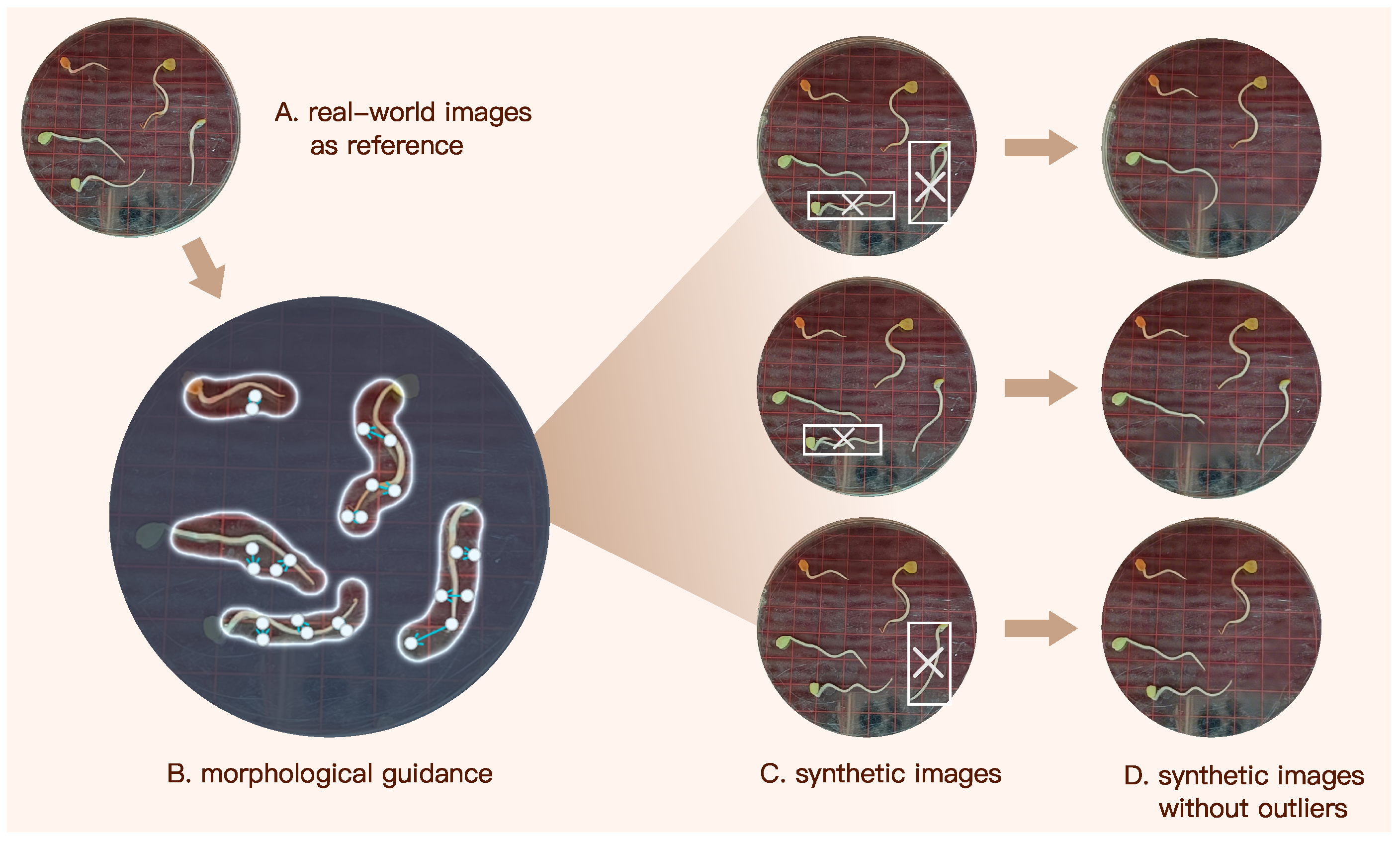 Sensors 25 05024 g005