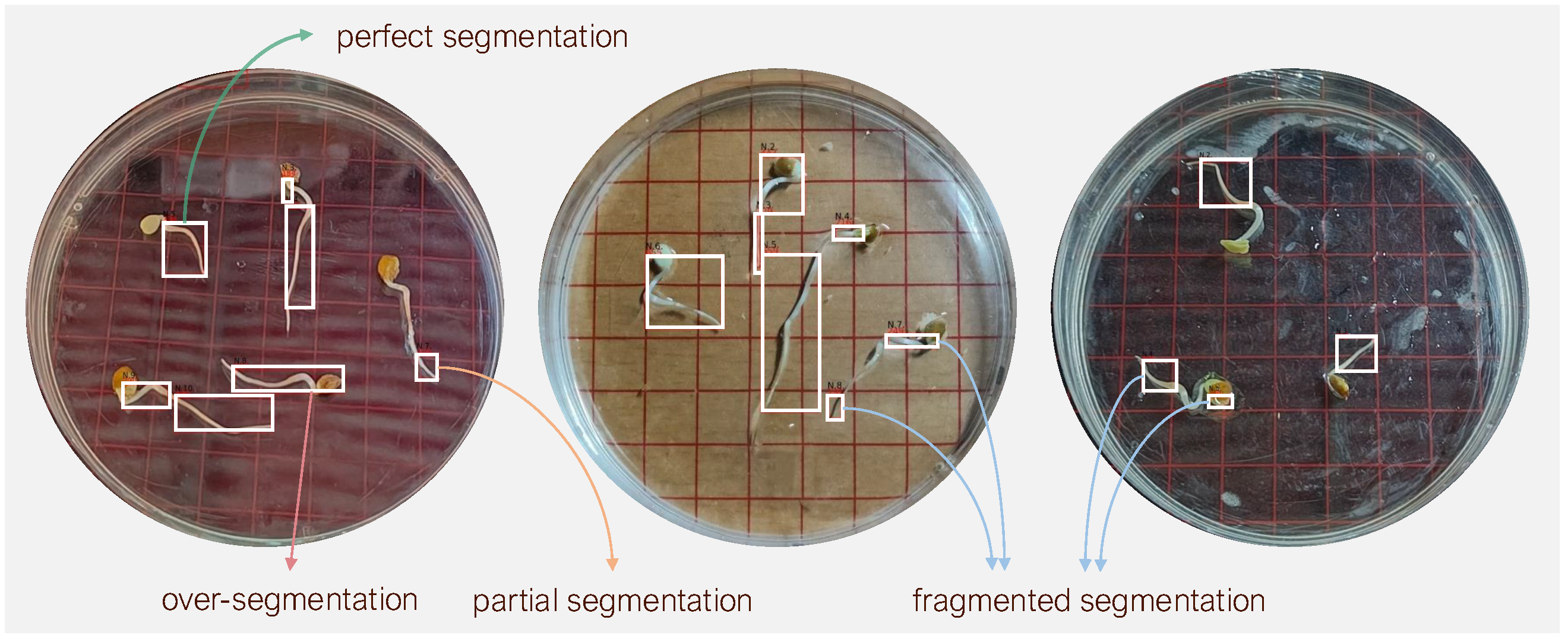 Sensors 25 05024 g011