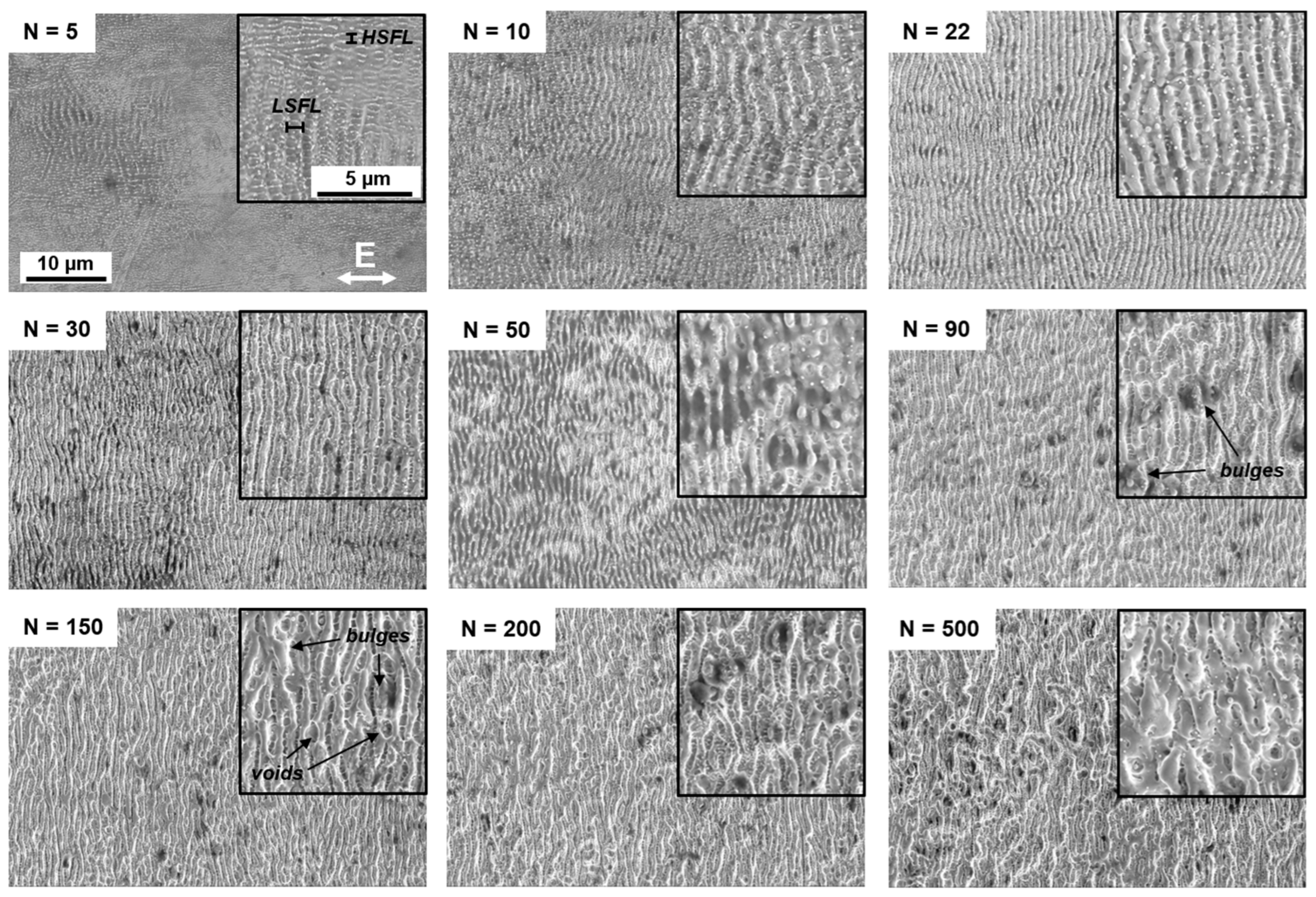 Sensors 25 05031 g003