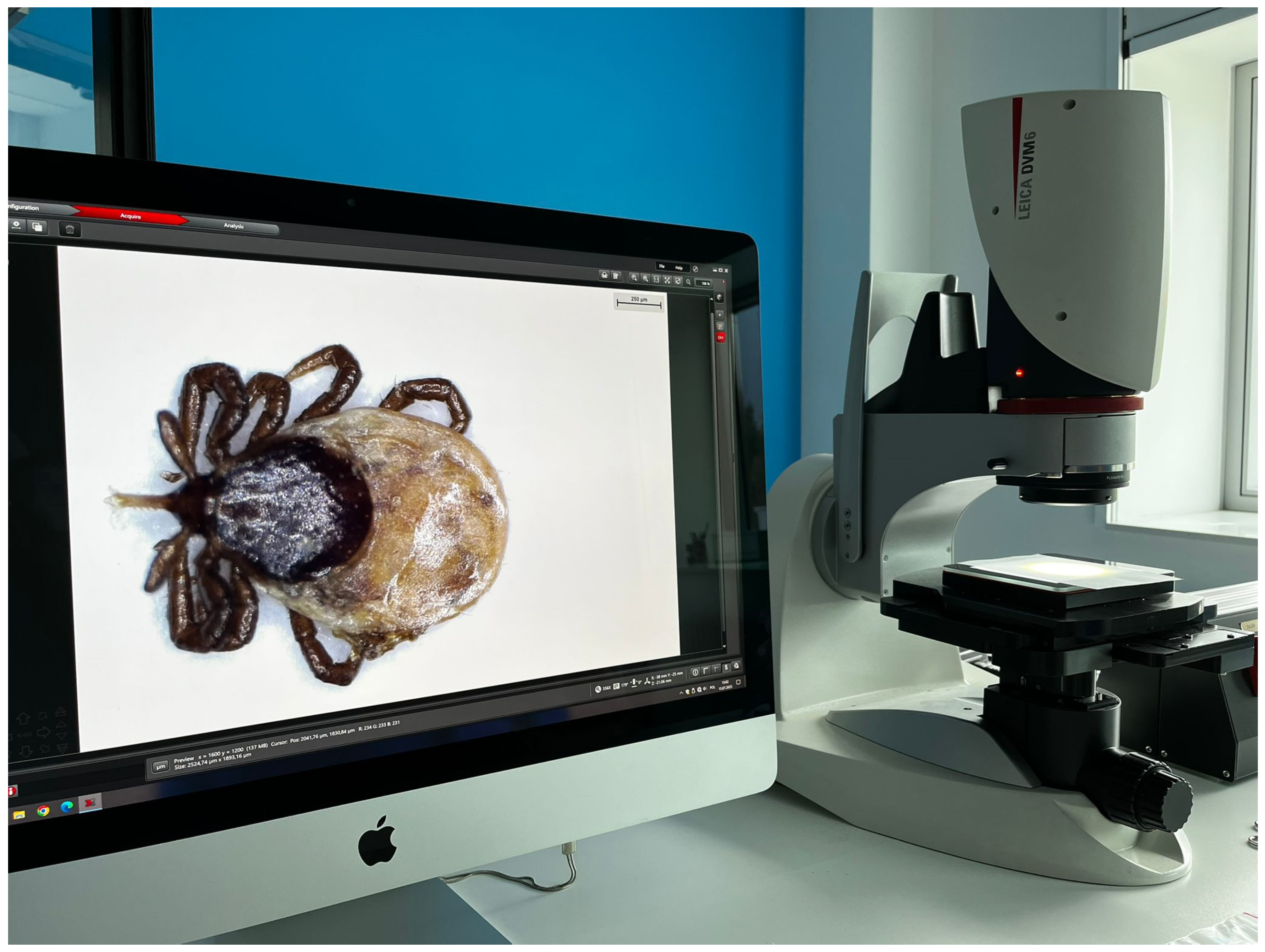 Sensors 25 05038 g006 Sensors 25 05038 g006