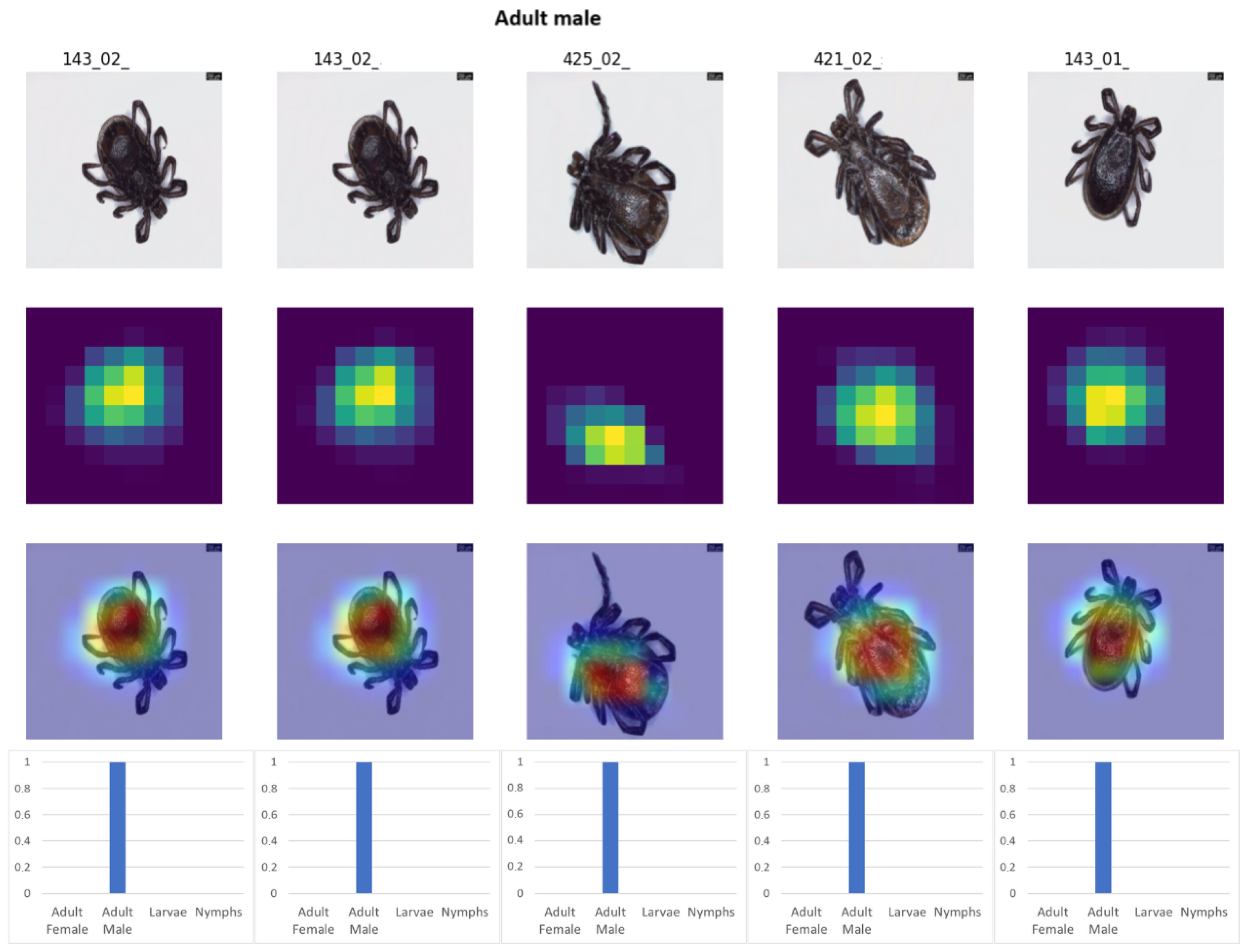 Sensors 25 05038 g009 Sensors 25 05038 g009
