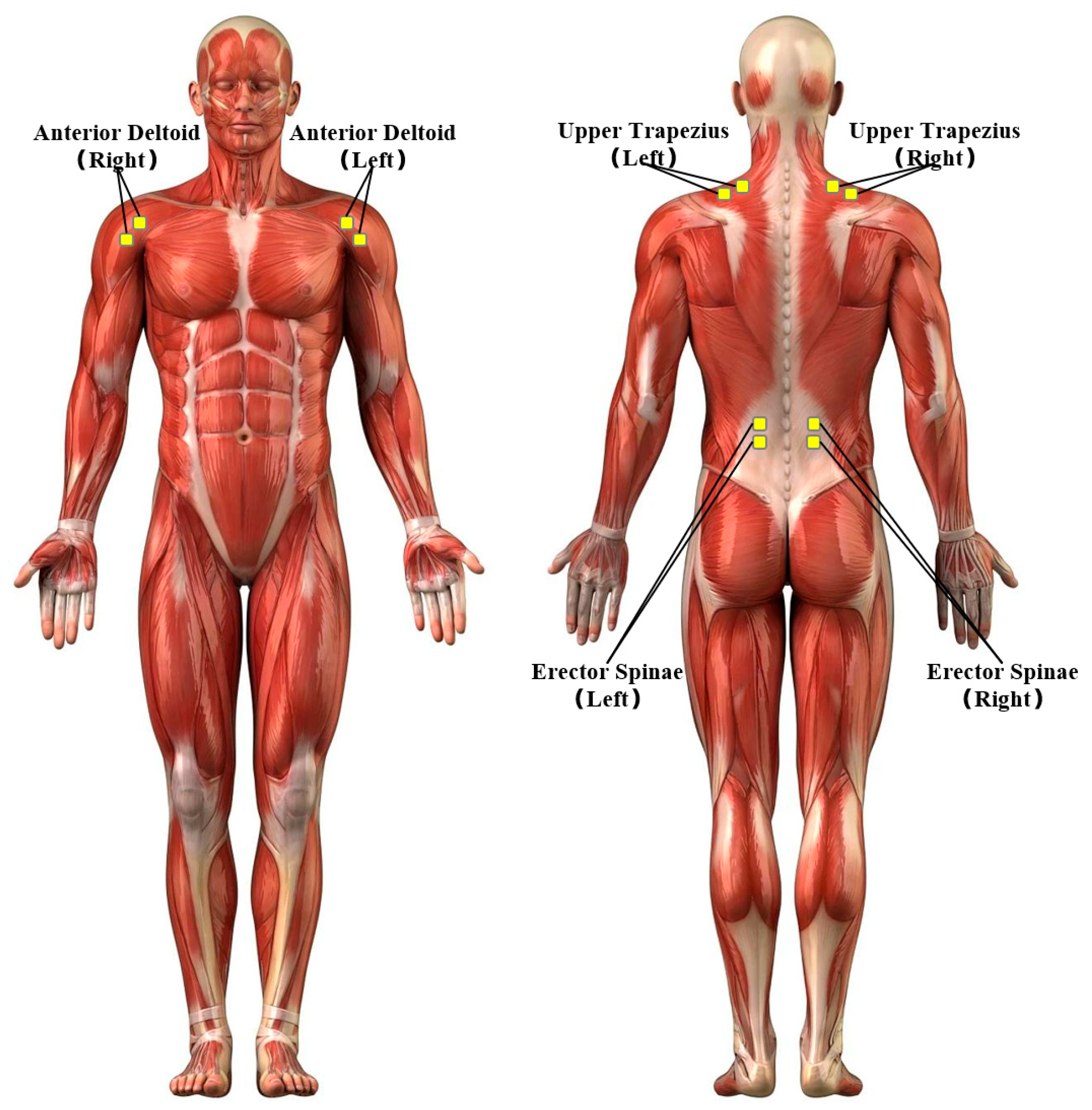 Sensors 25 05053 g012