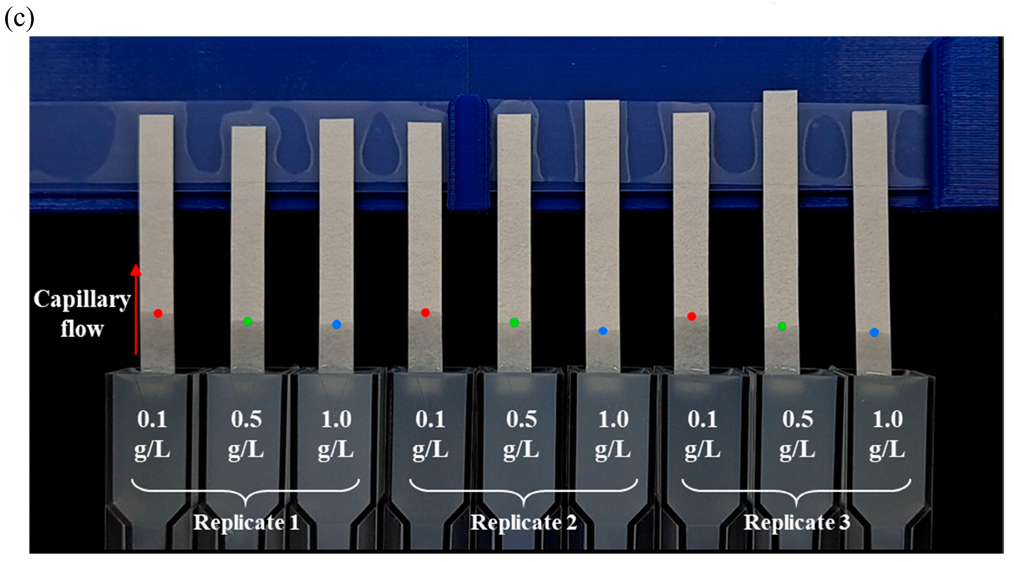 Sensors 25 05068 g002b Sensors 25 05068 g002b