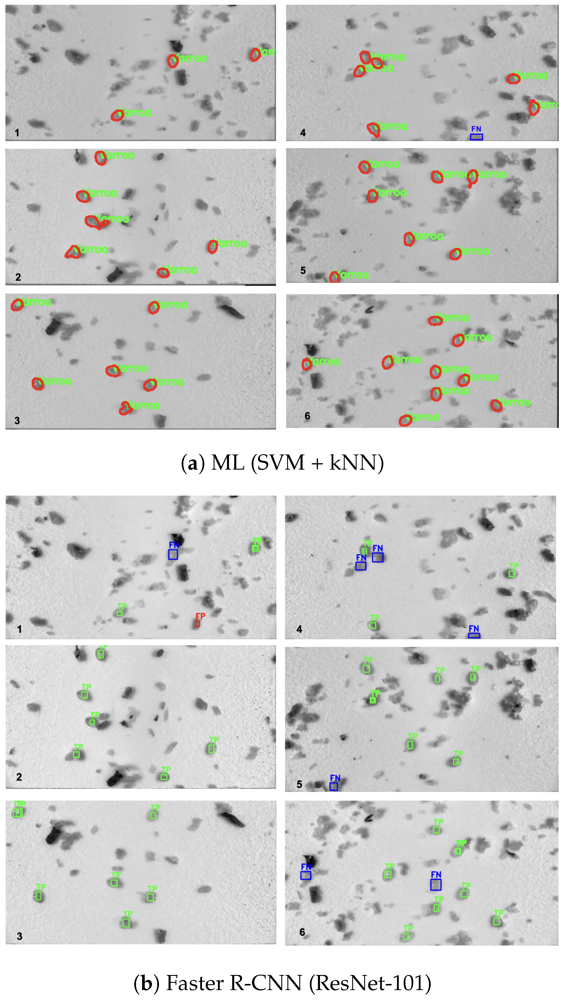 Sensors 25 05075 g005a