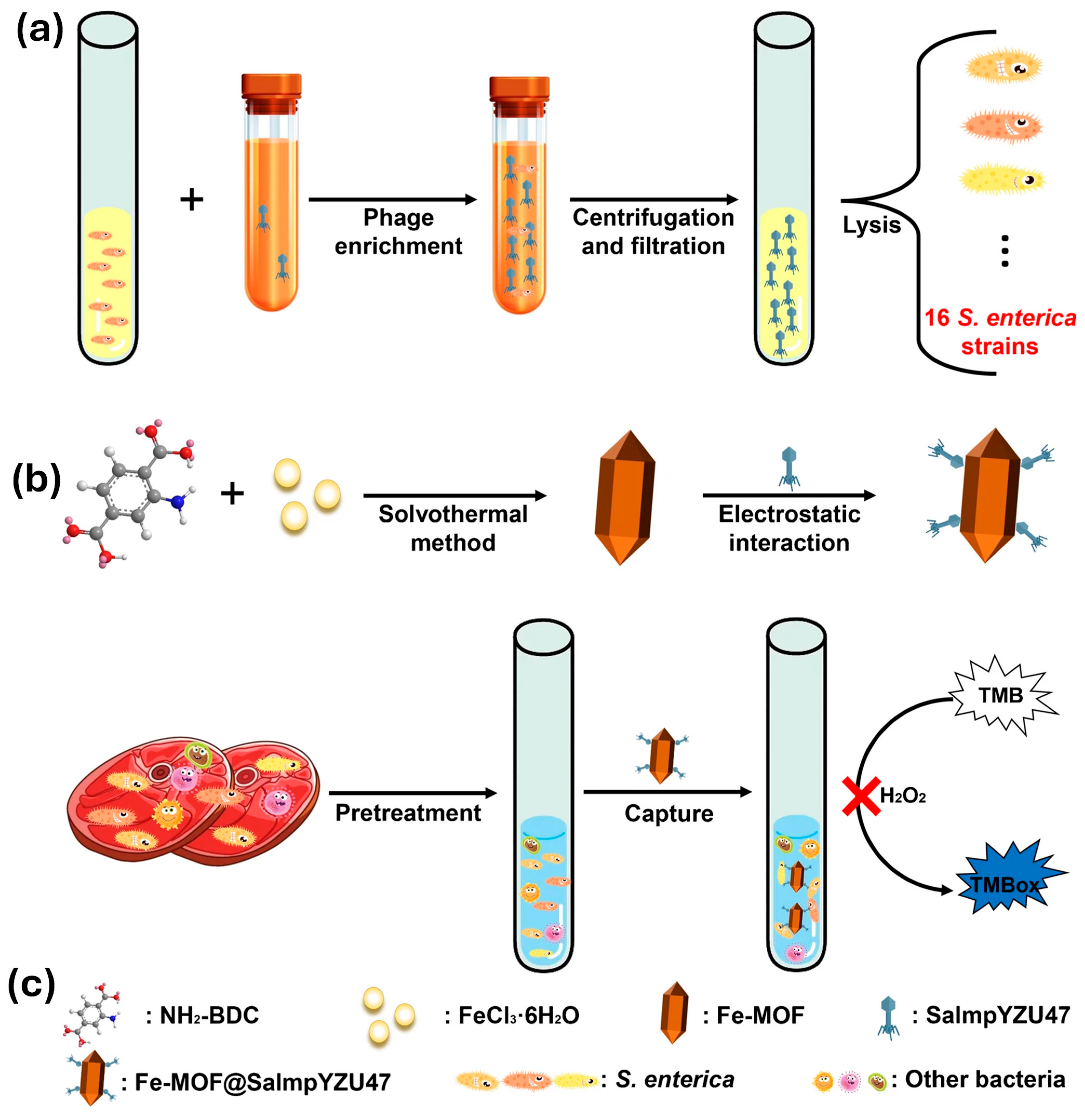 Sensors 25 05081 g003