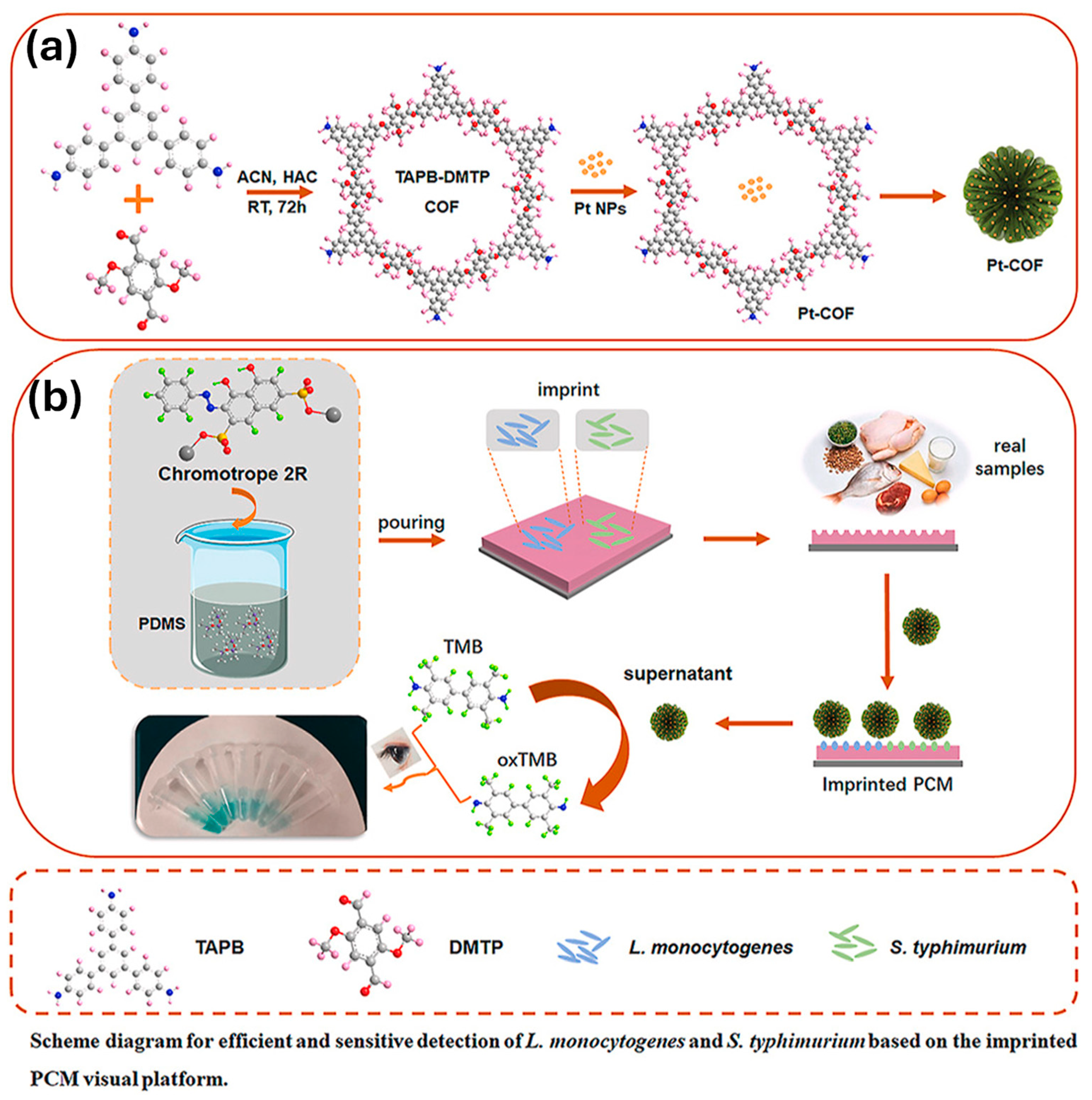 Sensors 25 05081 g005