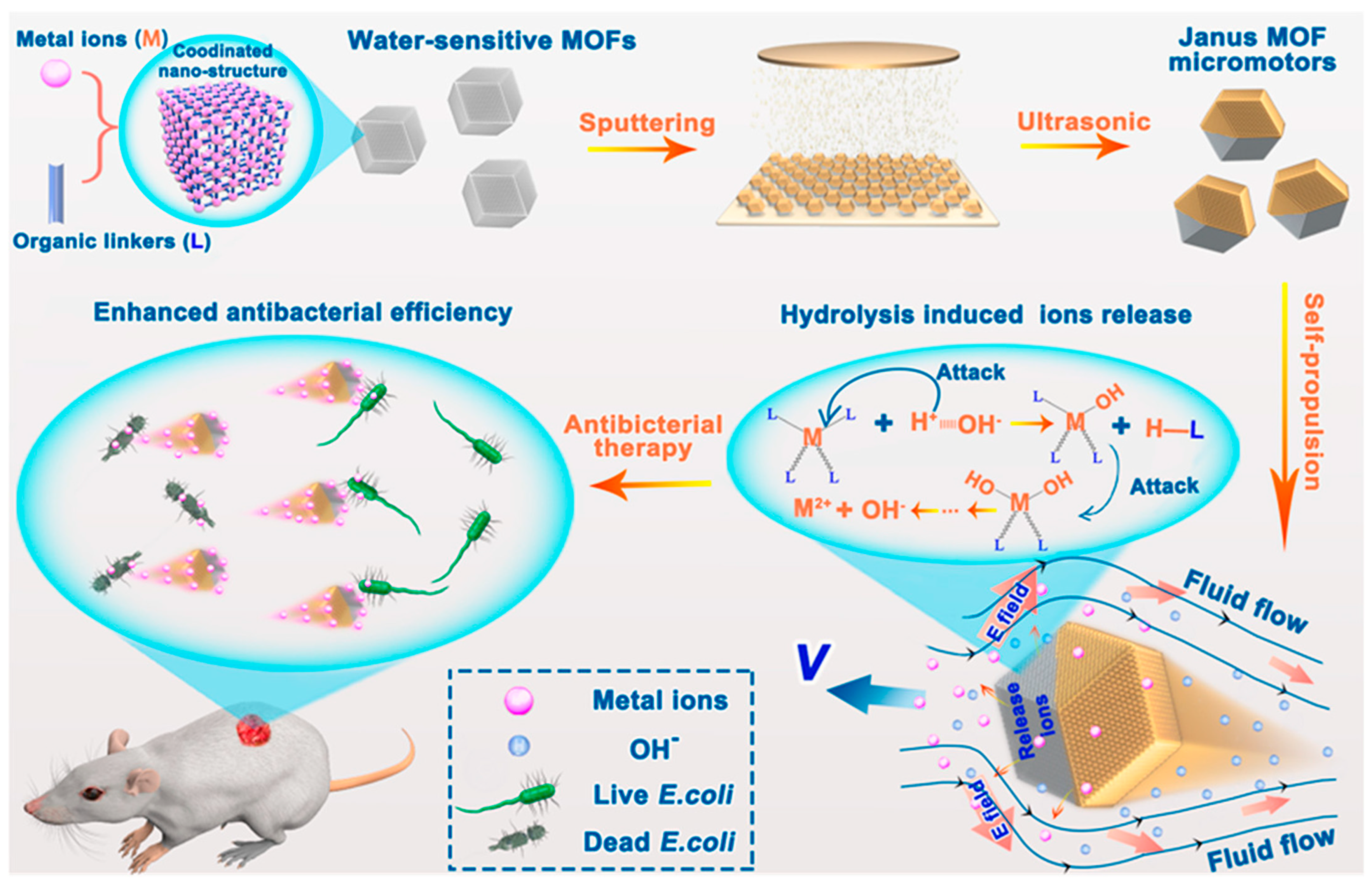 Sensors 25 05081 g006