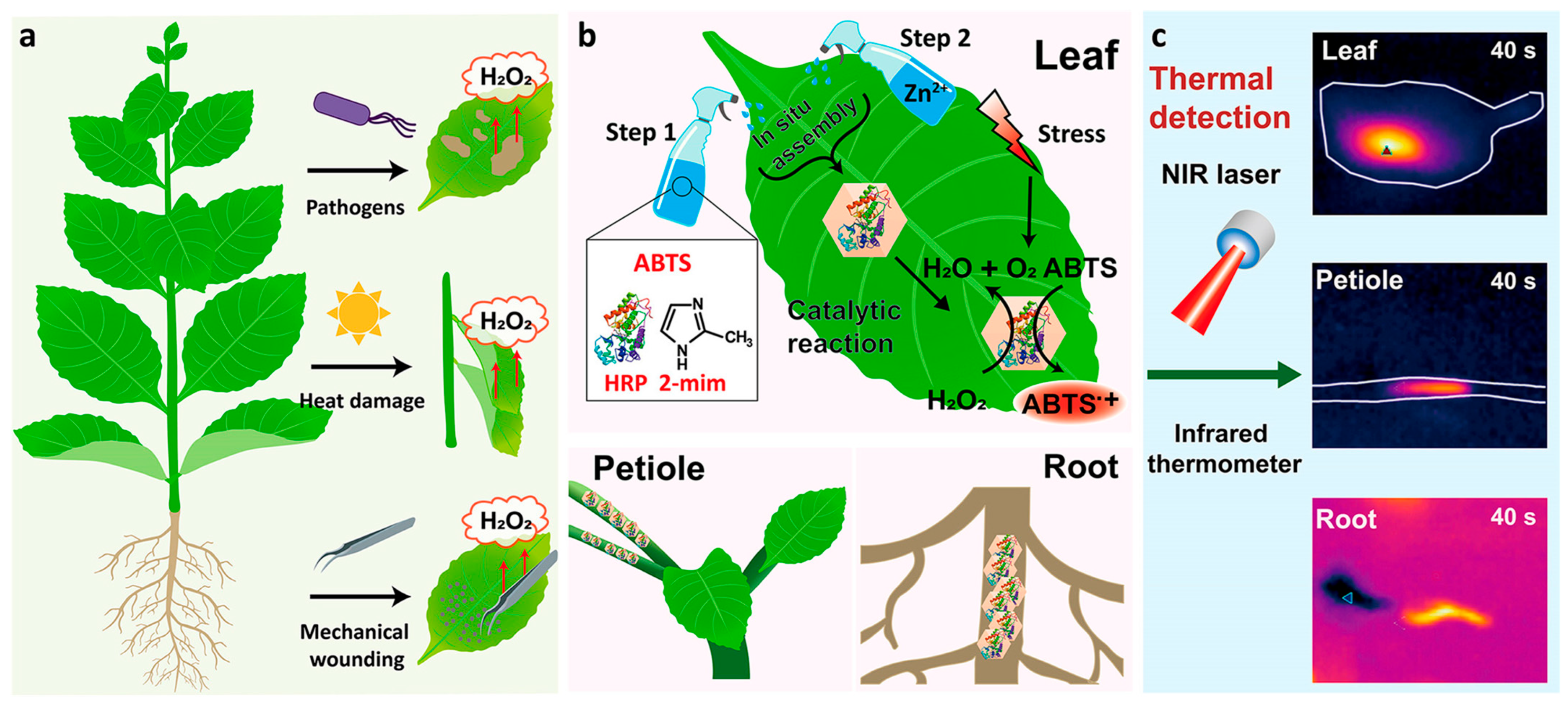 Sensors 25 05081 g008
