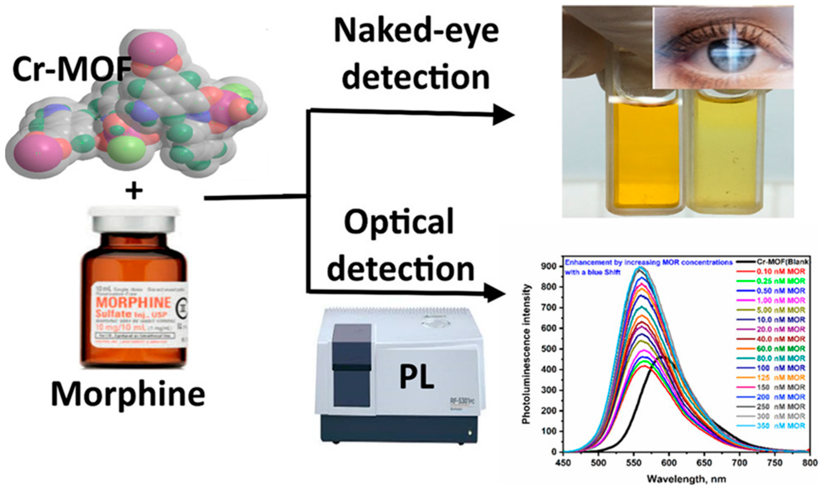 Sensors 25 05081 g009