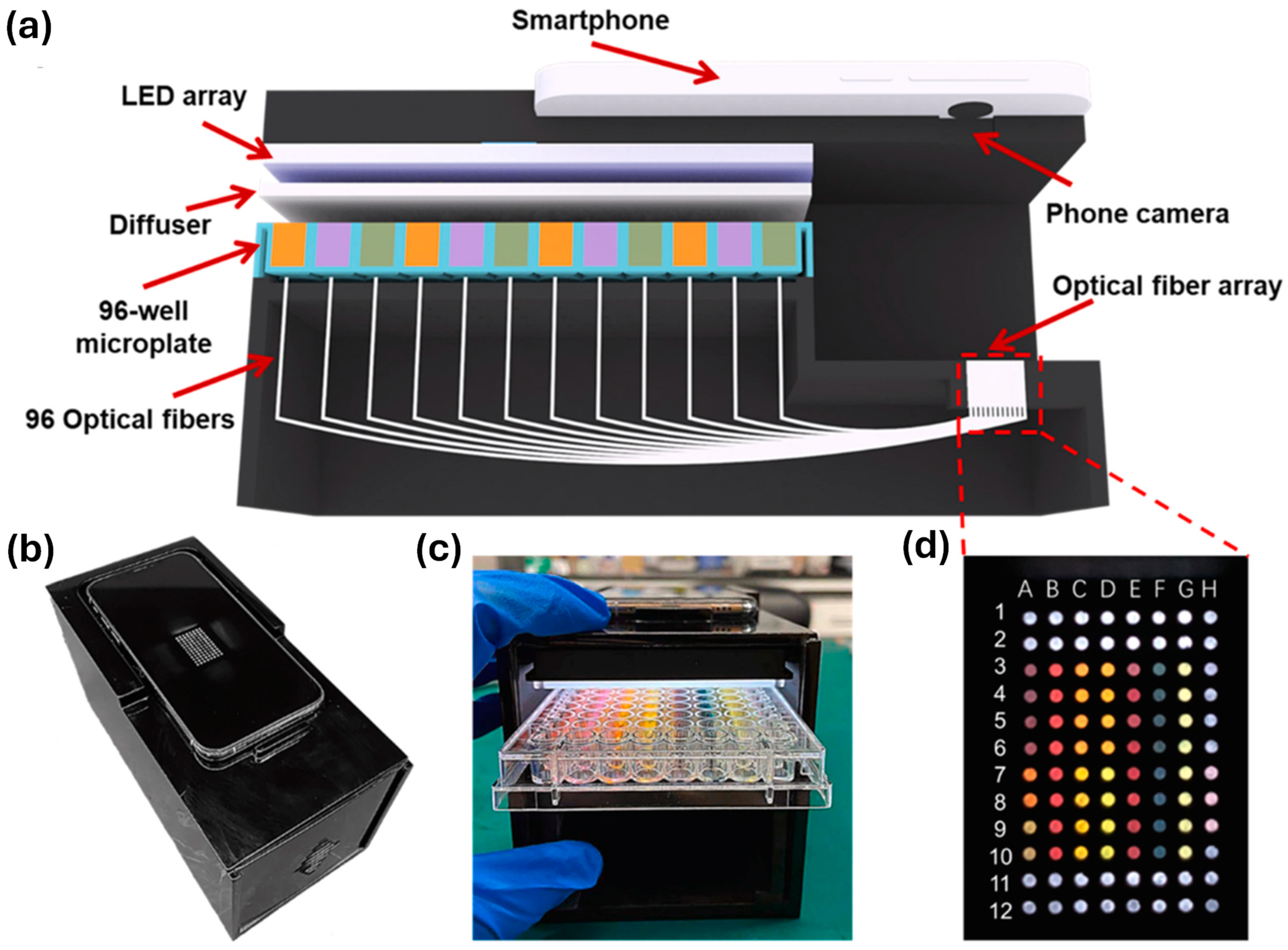 Sensors 25 05081 g010