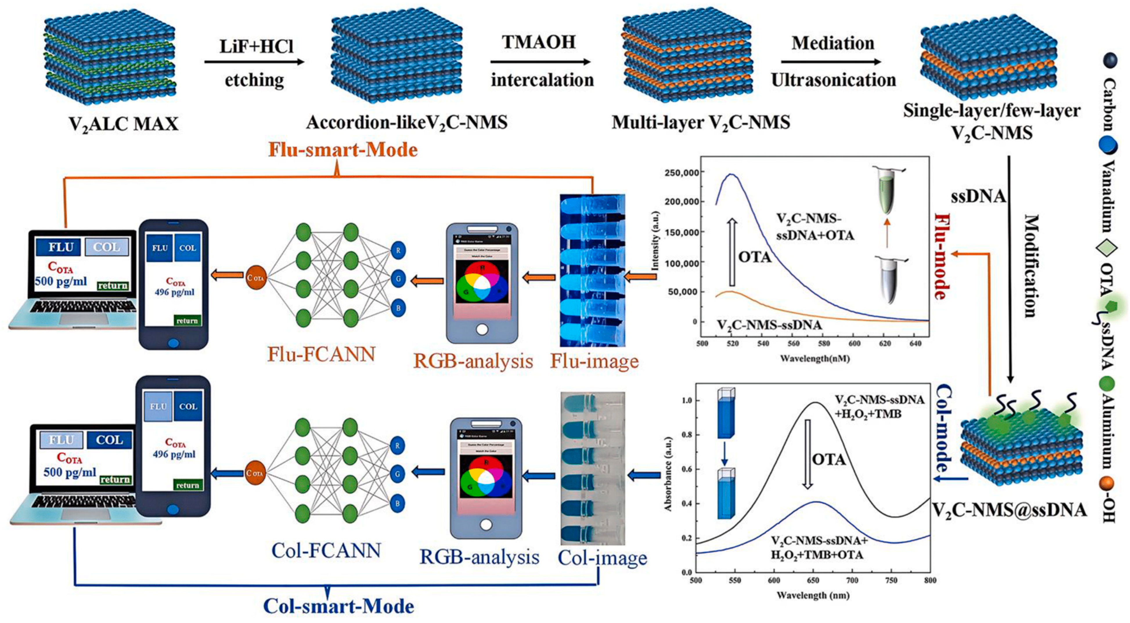 Sensors 25 05081 g011