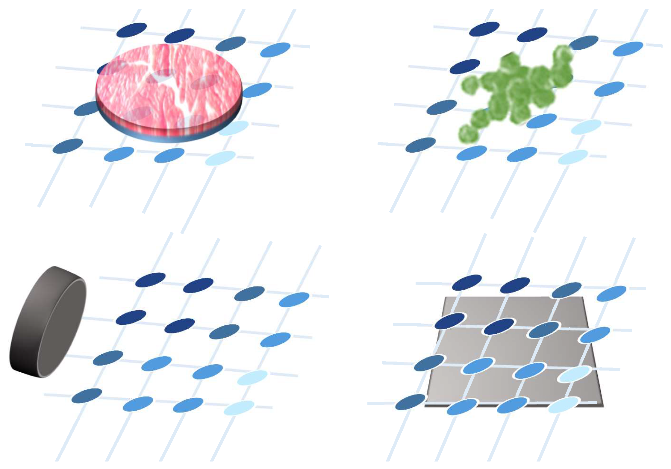 Sensors 25 05089 g033 Sensors 25 05089 g033