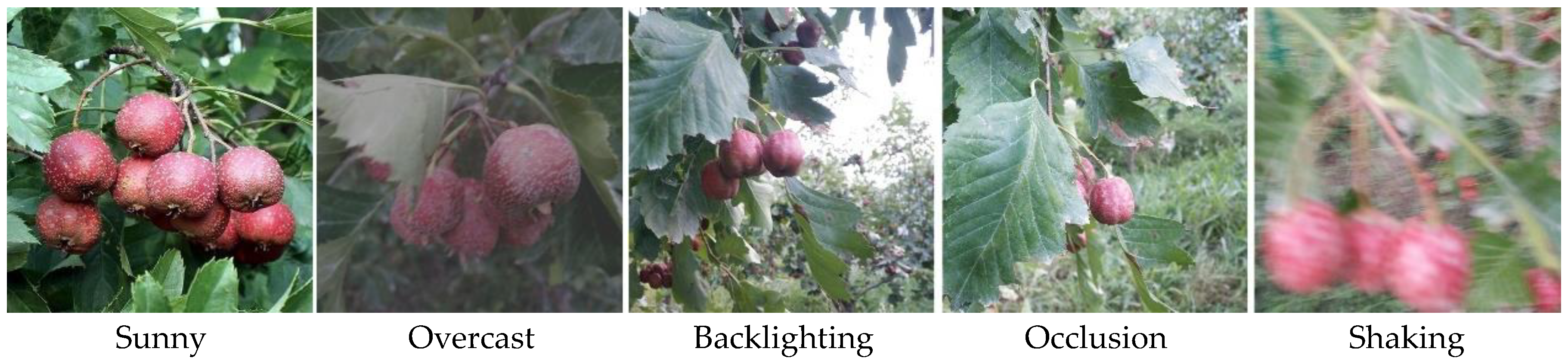 Sensors 25 05094 g001 Sensors 25 05094 g001