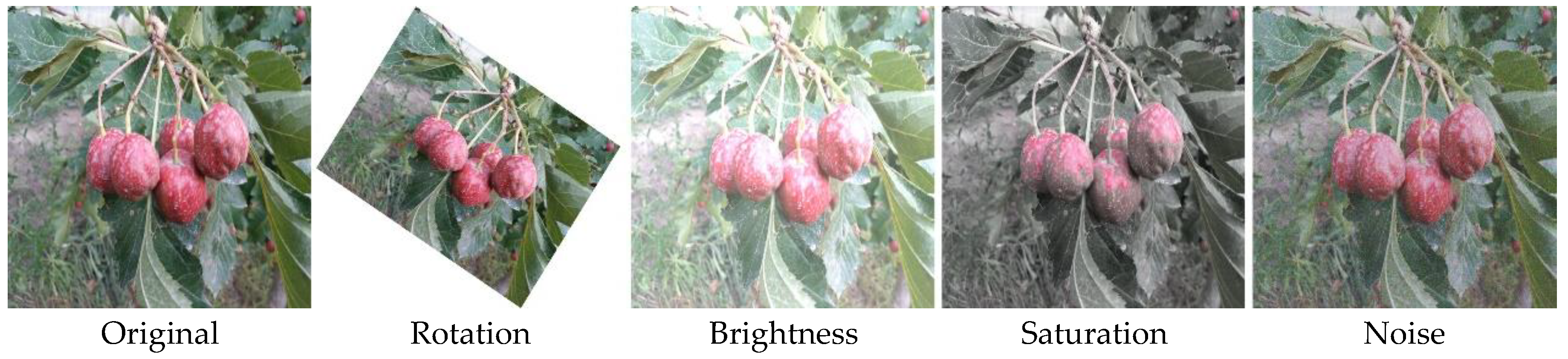 Sensors 25 05094 g002 Sensors 25 05094 g002