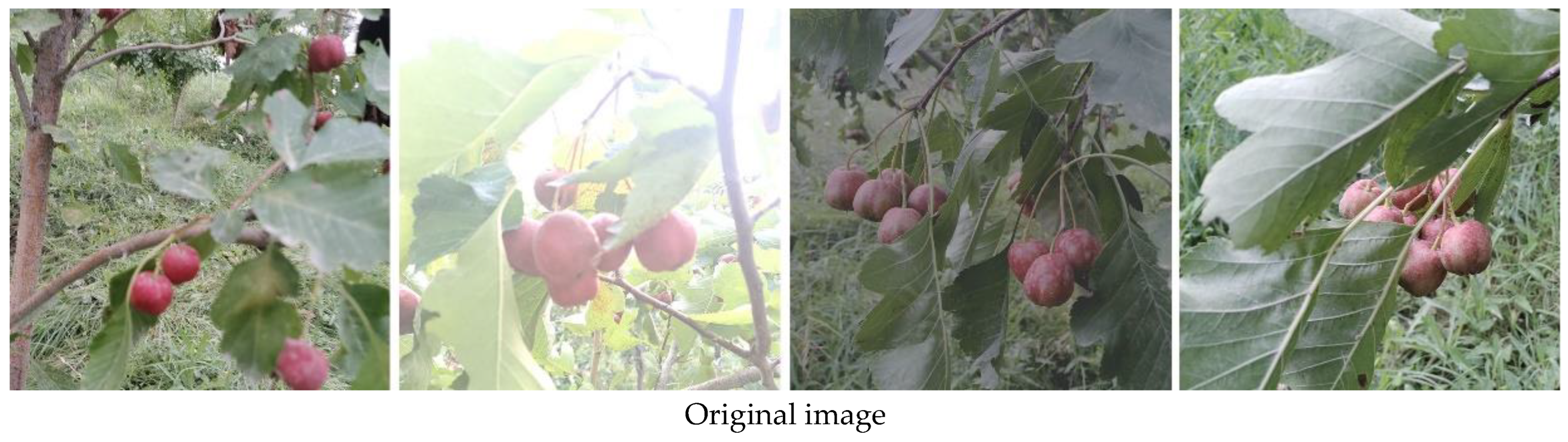 Sensors 25 05094 g009a Sensors 25 05094 g009a