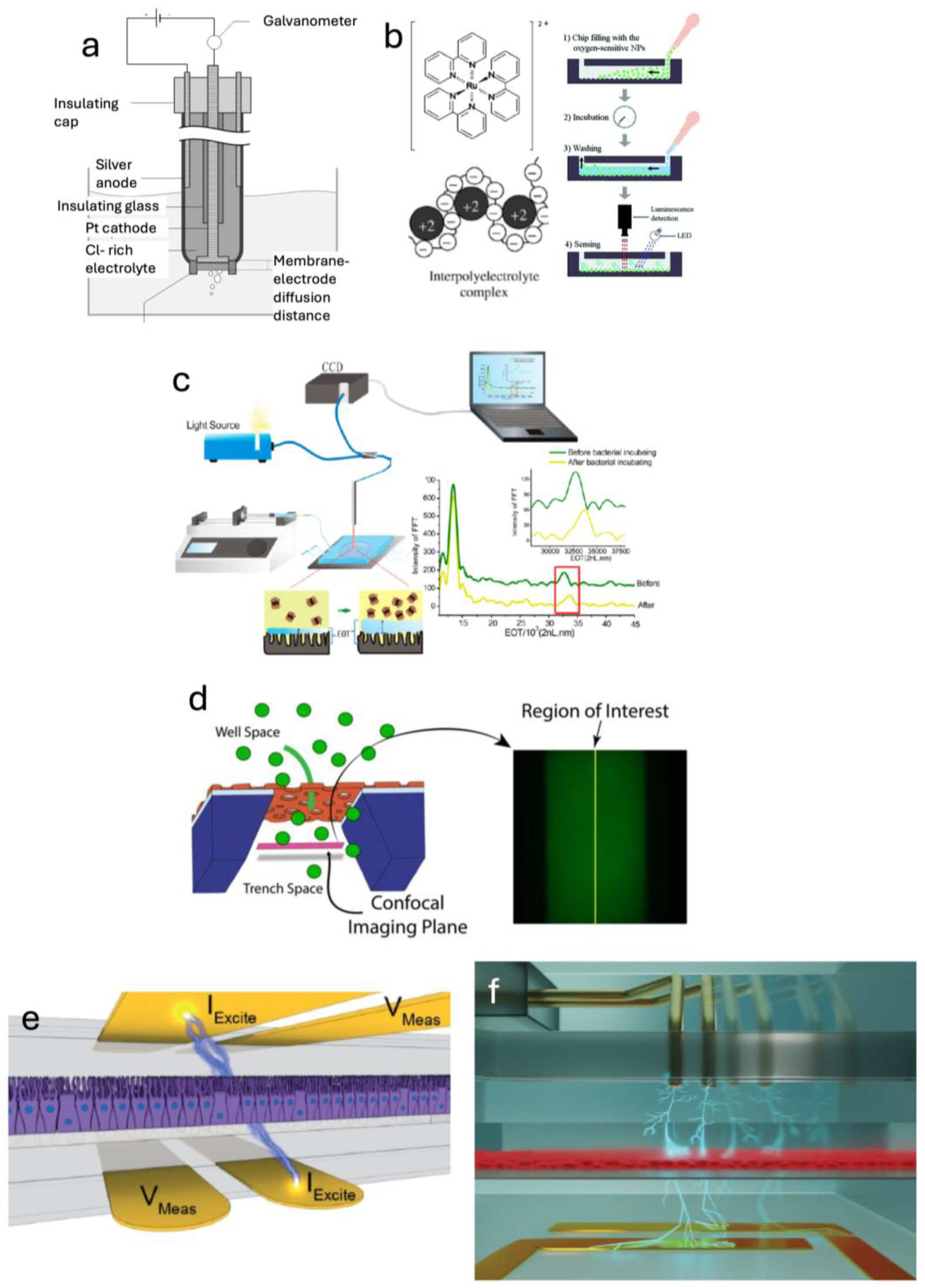 Sensors 25 05153 g004 Sensors 25 05153 g004
