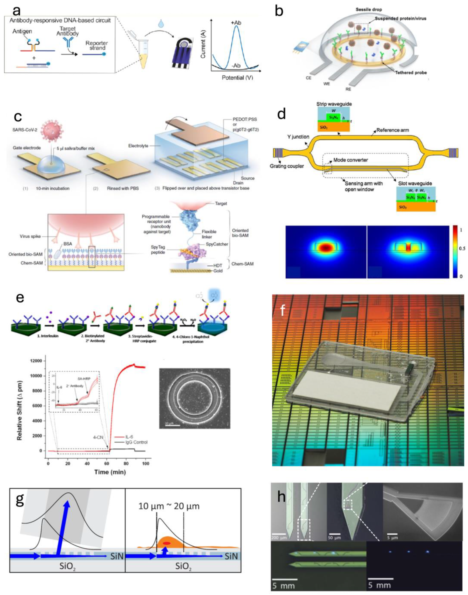 Sensors 25 05153 g006 Sensors 25 05153 g006