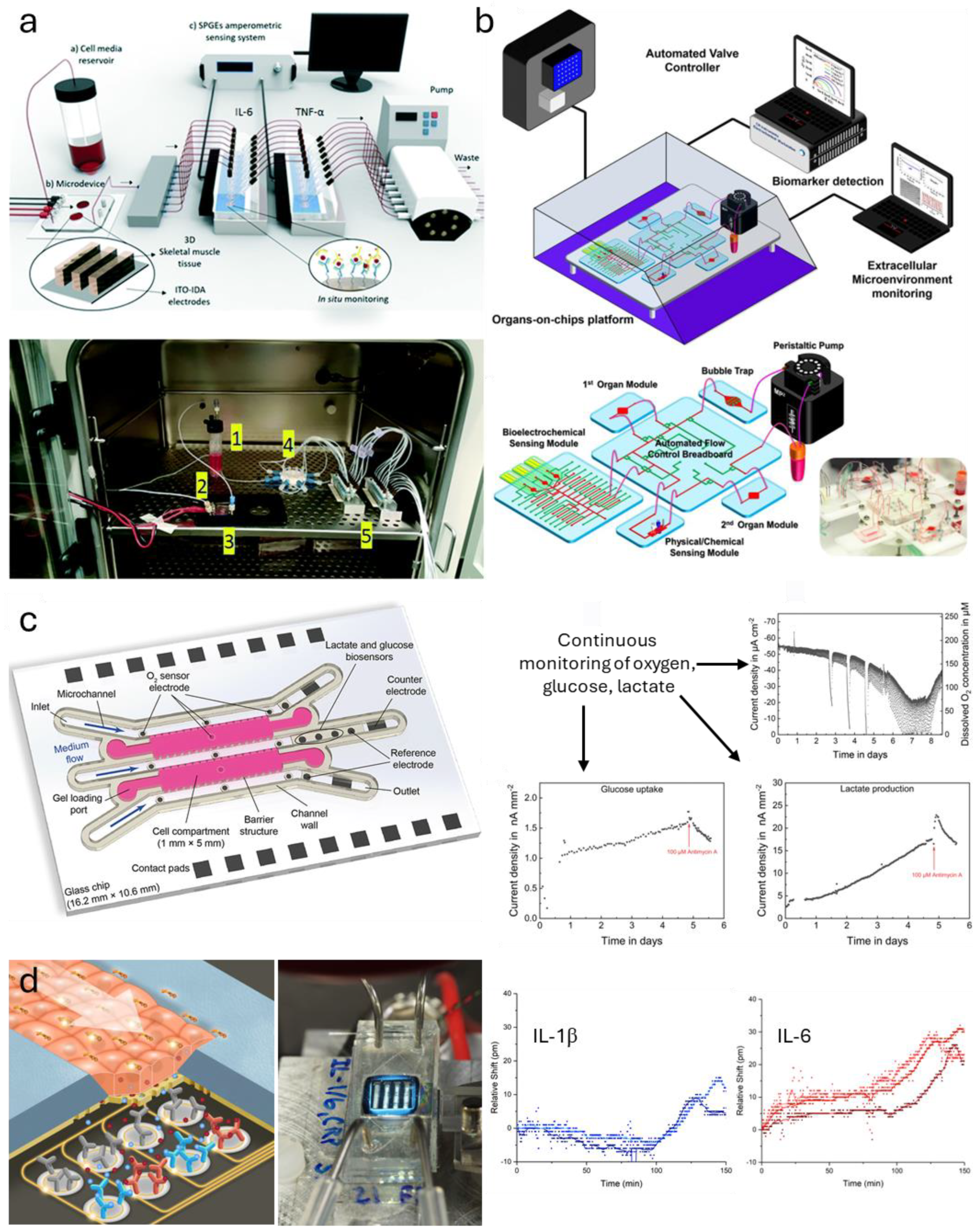 Sensors 25 05153 g007 Sensors 25 05153 g007