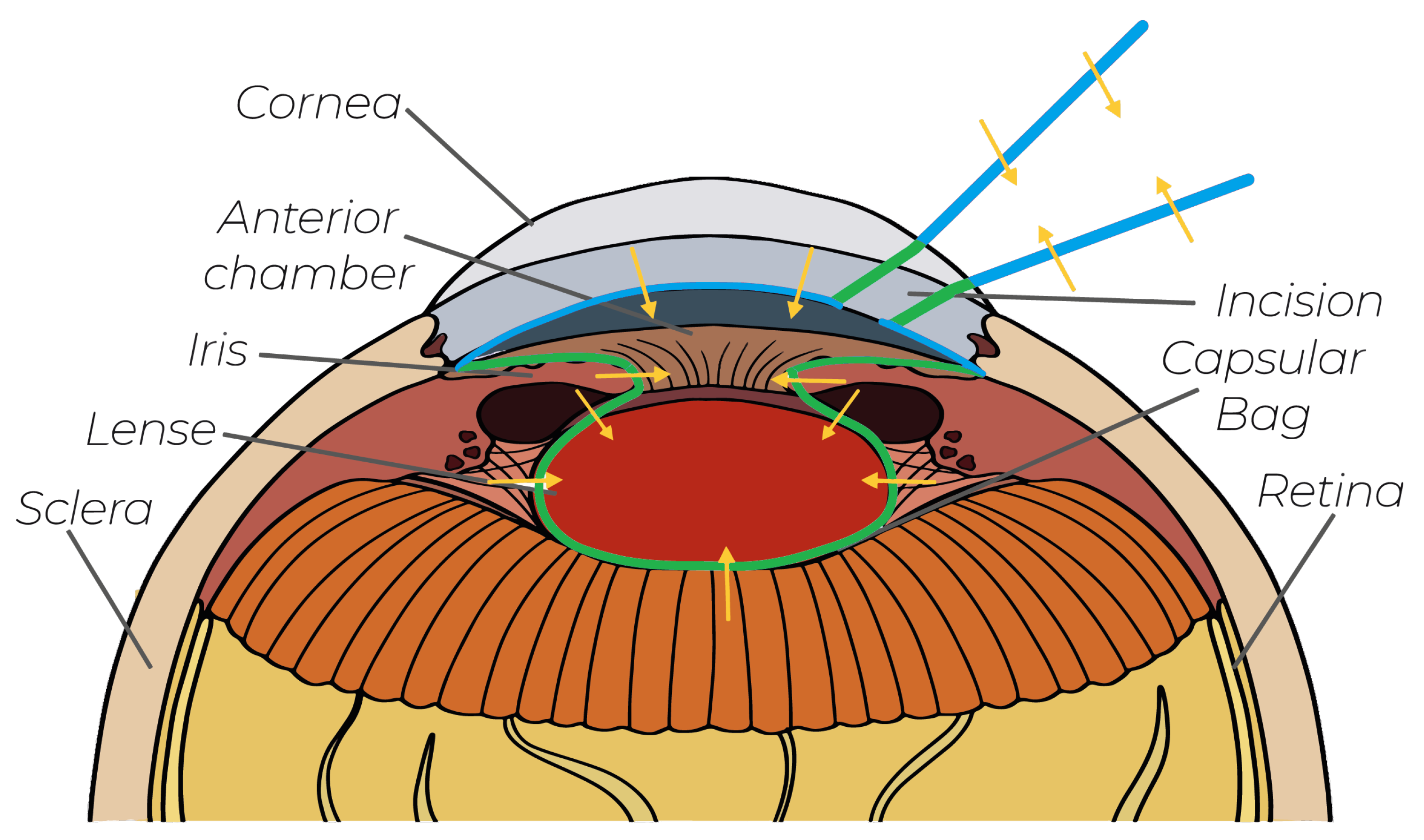 Sensors 25 05165 g001 Sensors 25 05165 g001
