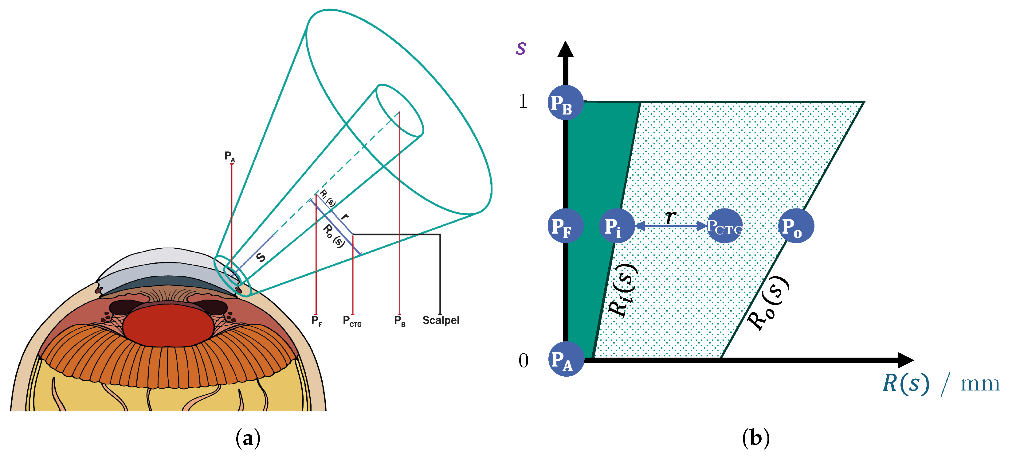 Sensors 25 05165 g003 Sensors 25 05165 g003