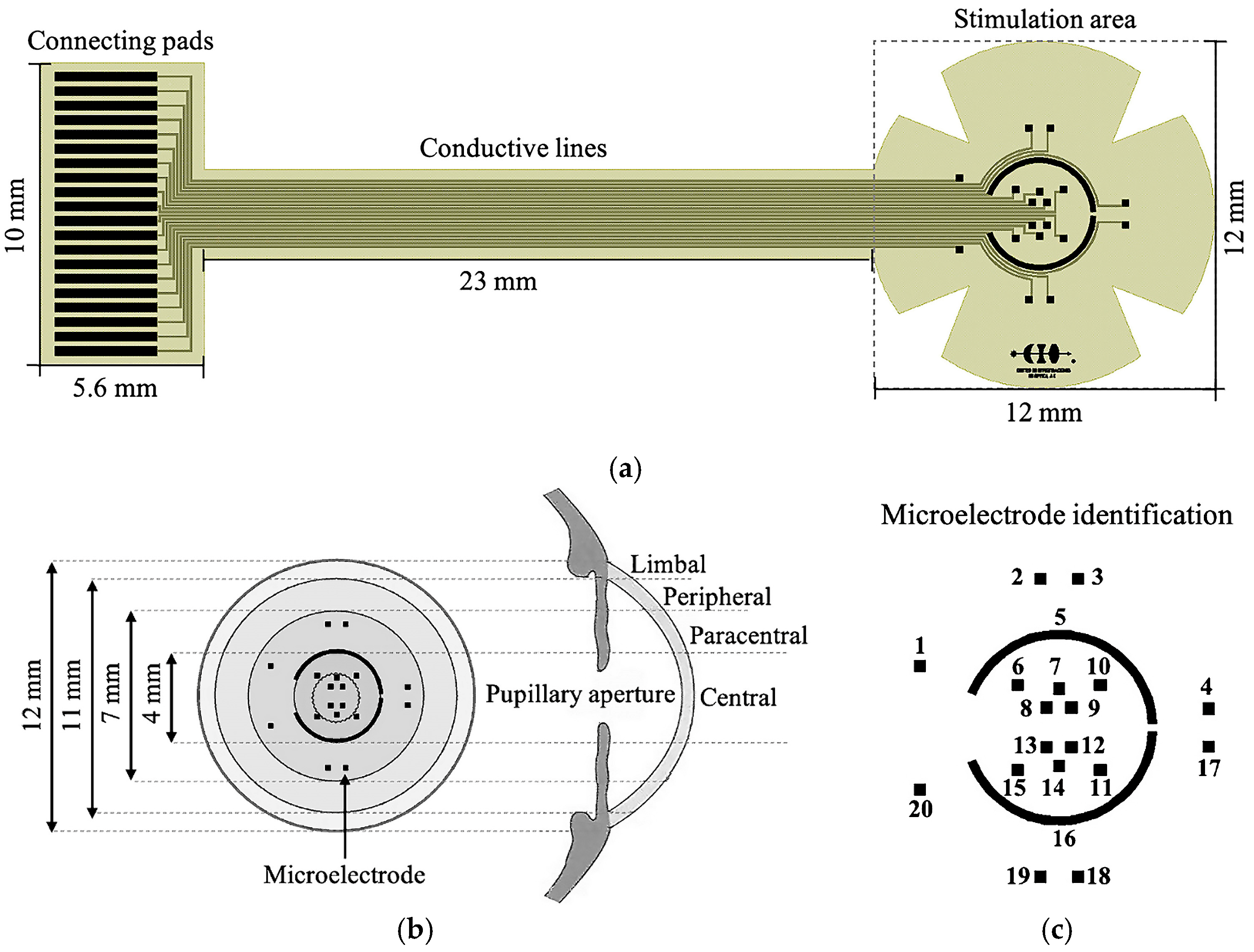 Sensors 25 05198 g001