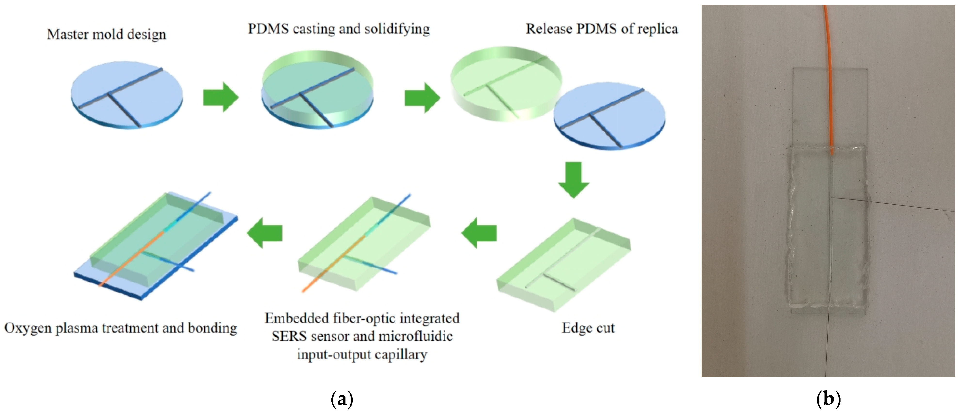 Sensors 25 05221 g002 Sensors 25 05221 g002