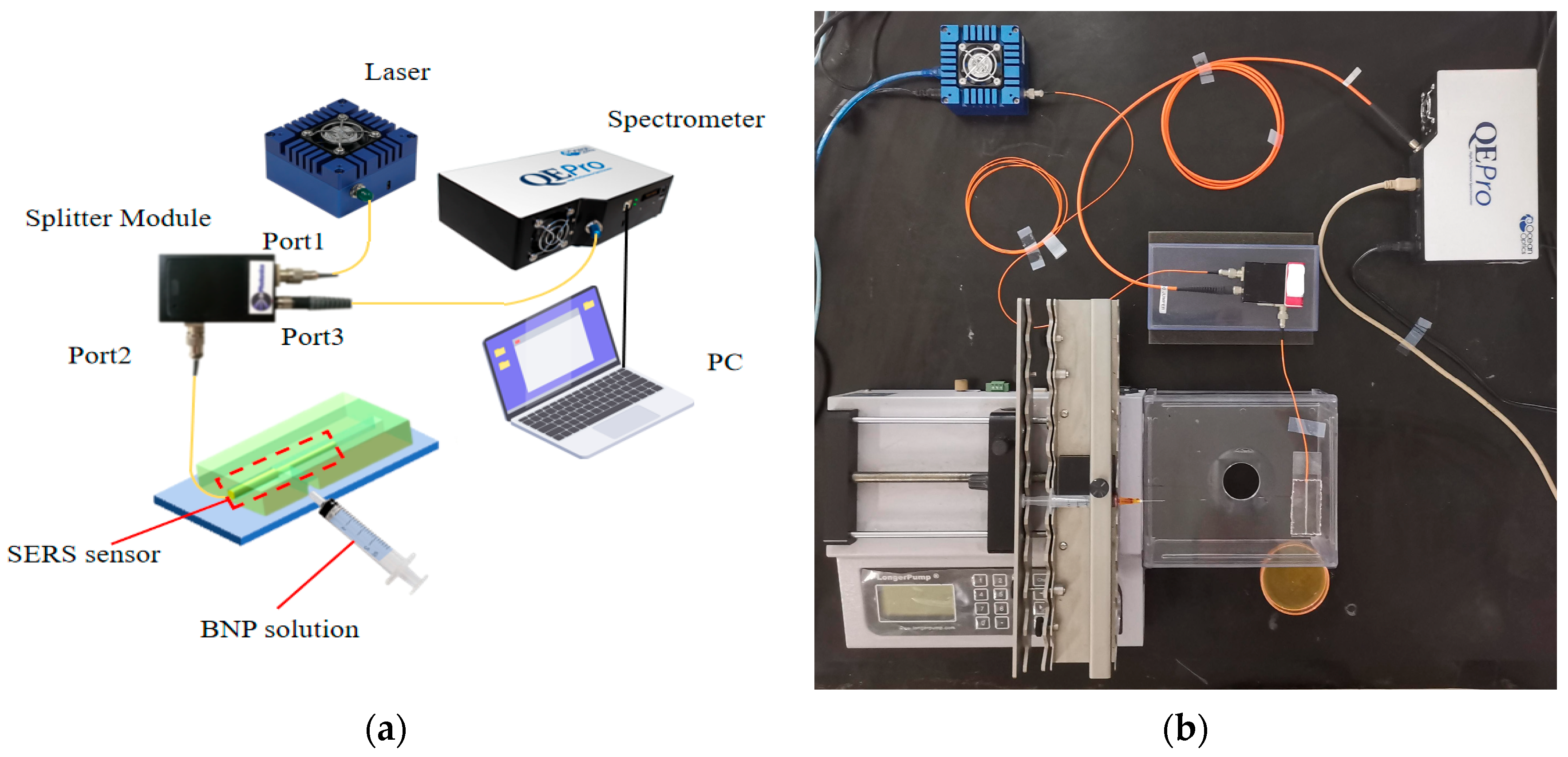 Sensors 25 05221 g004 Sensors 25 05221 g004