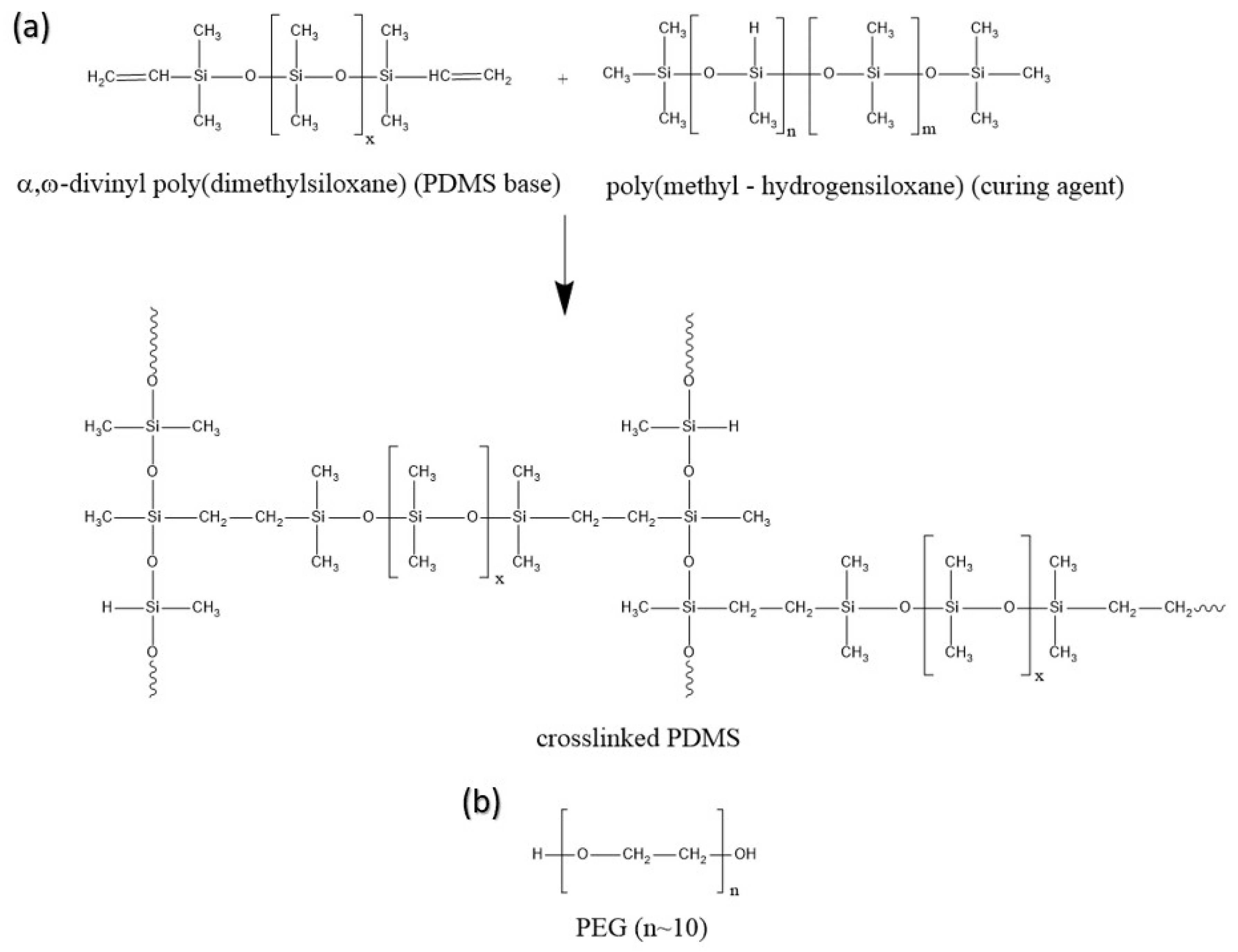 Sensors 25 05238 g001 Sensors 25 05238 g001