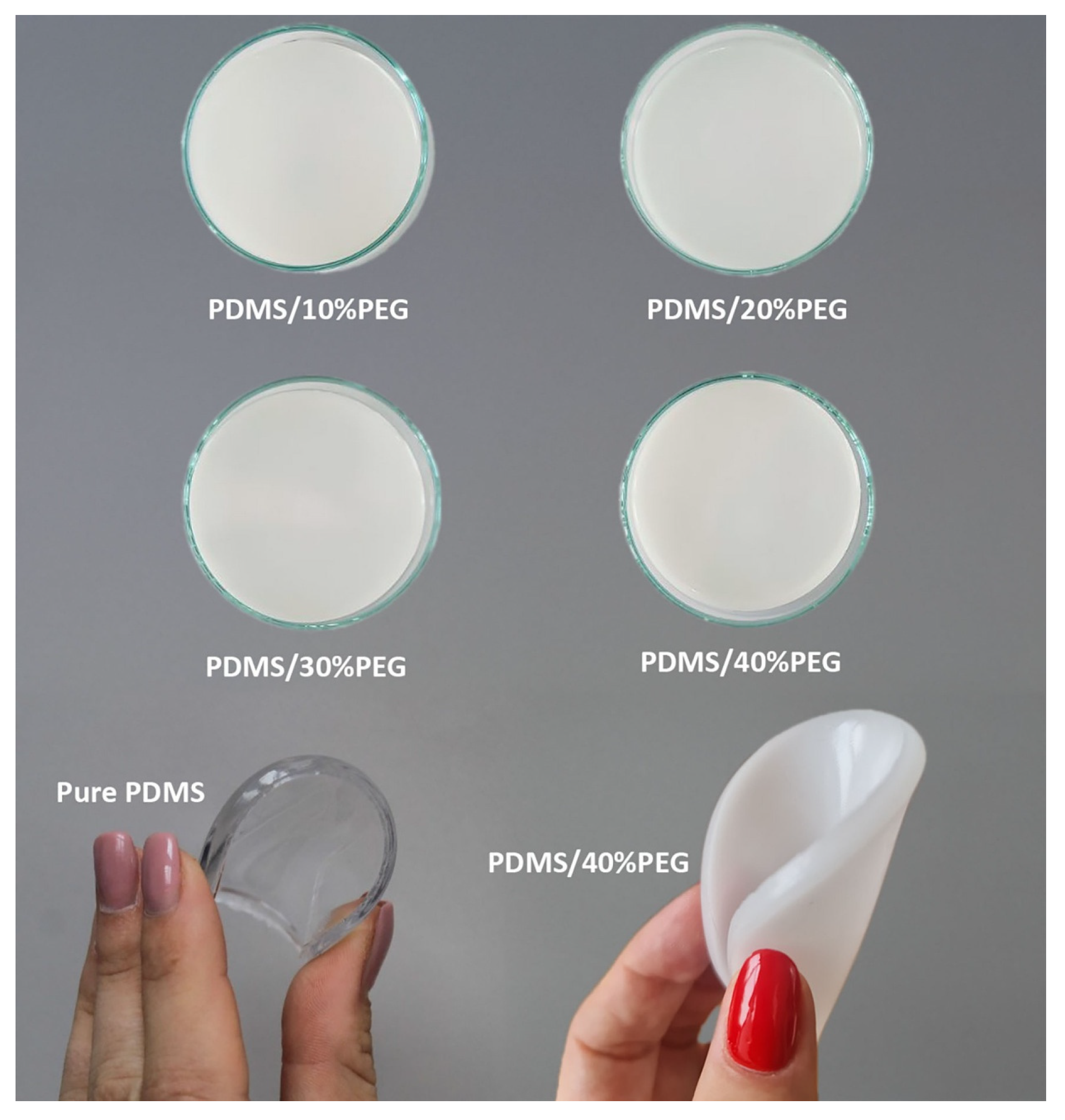 Sensors 25 05238 g003 Sensors 25 05238 g003